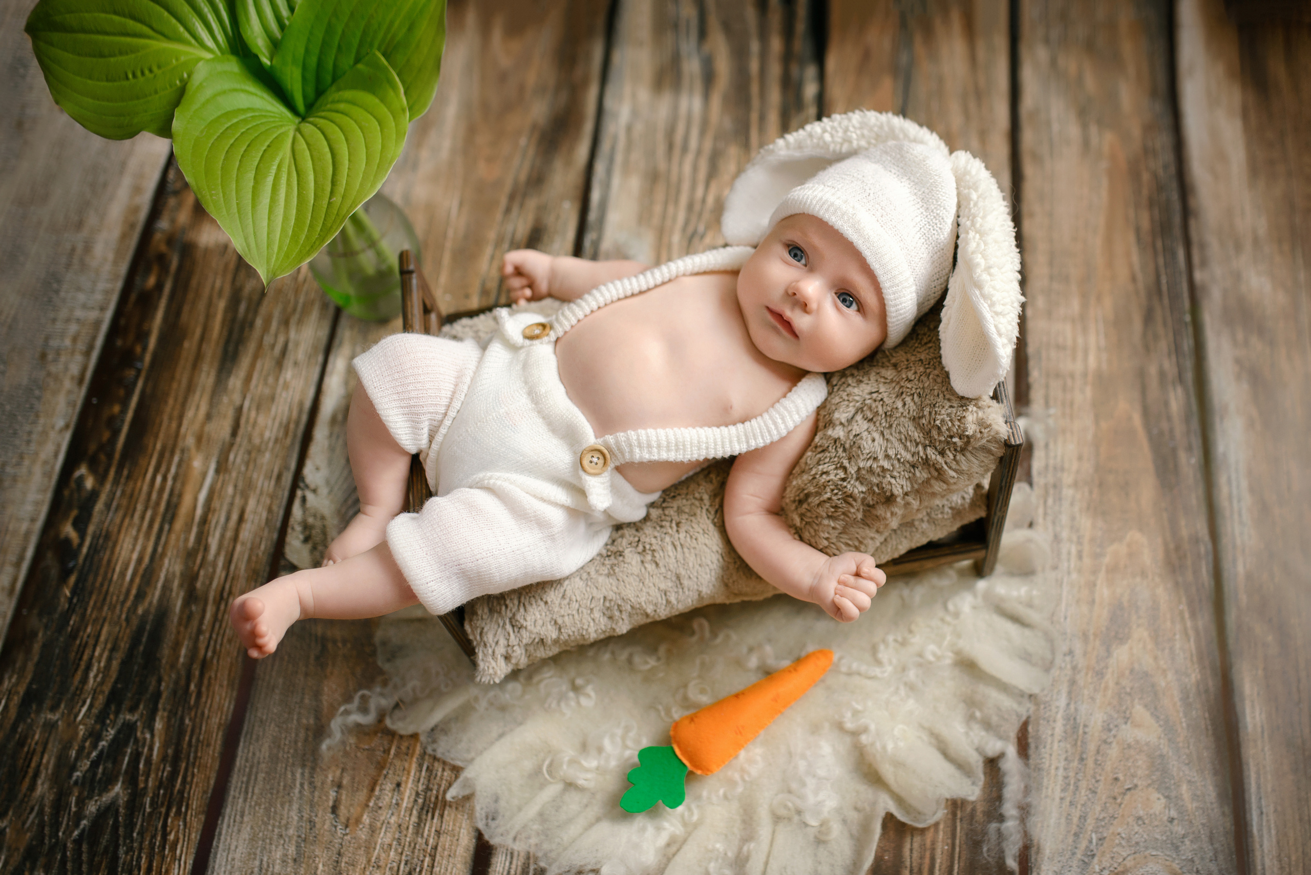 Новорожденные. Любовь Федоряева — фотограф в Симферополе и в Крыму