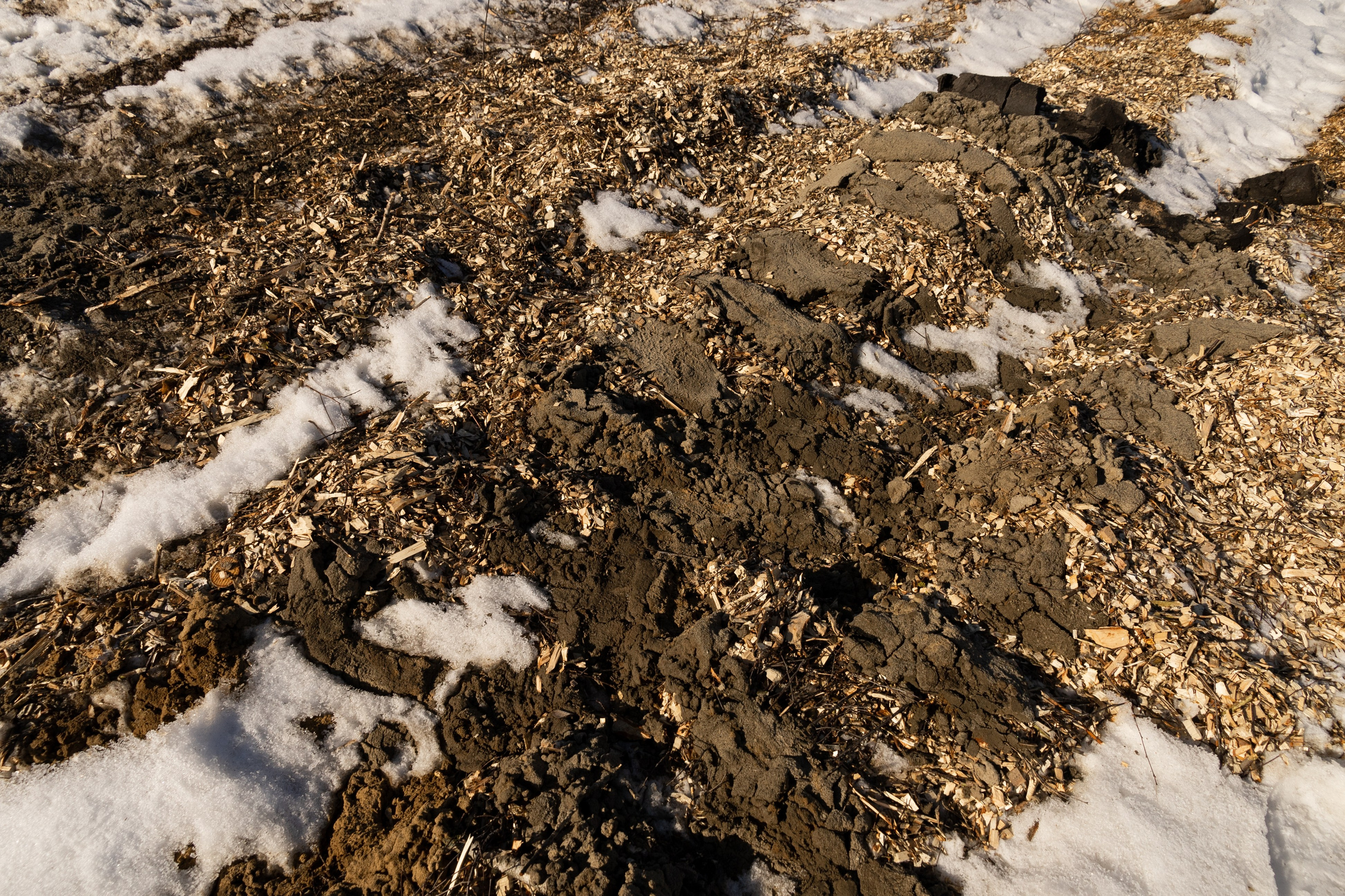 Я здесь живу. DASHA KALNINA