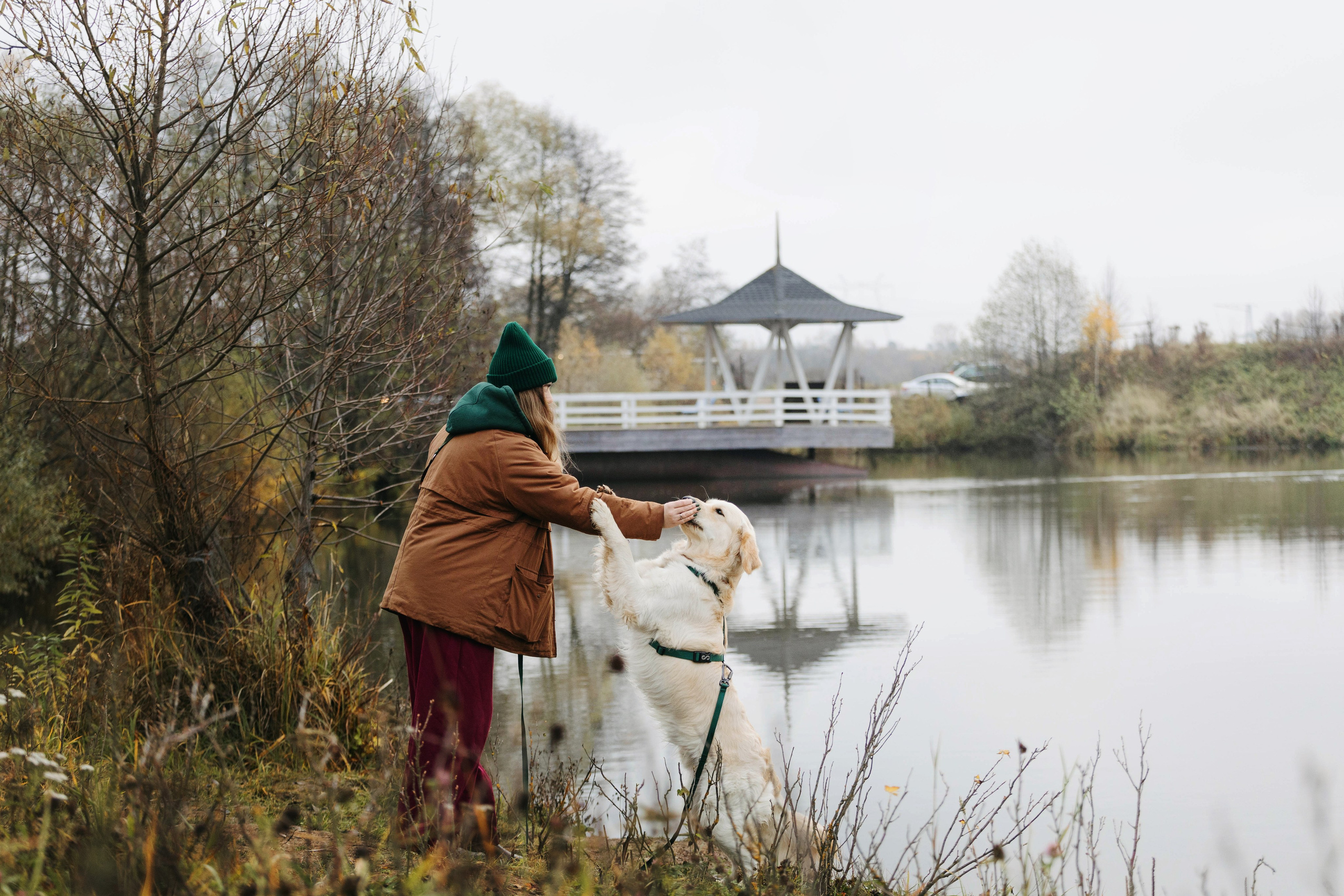 Dogcamp / Полина и Миша. Фотограф Кузина Вера