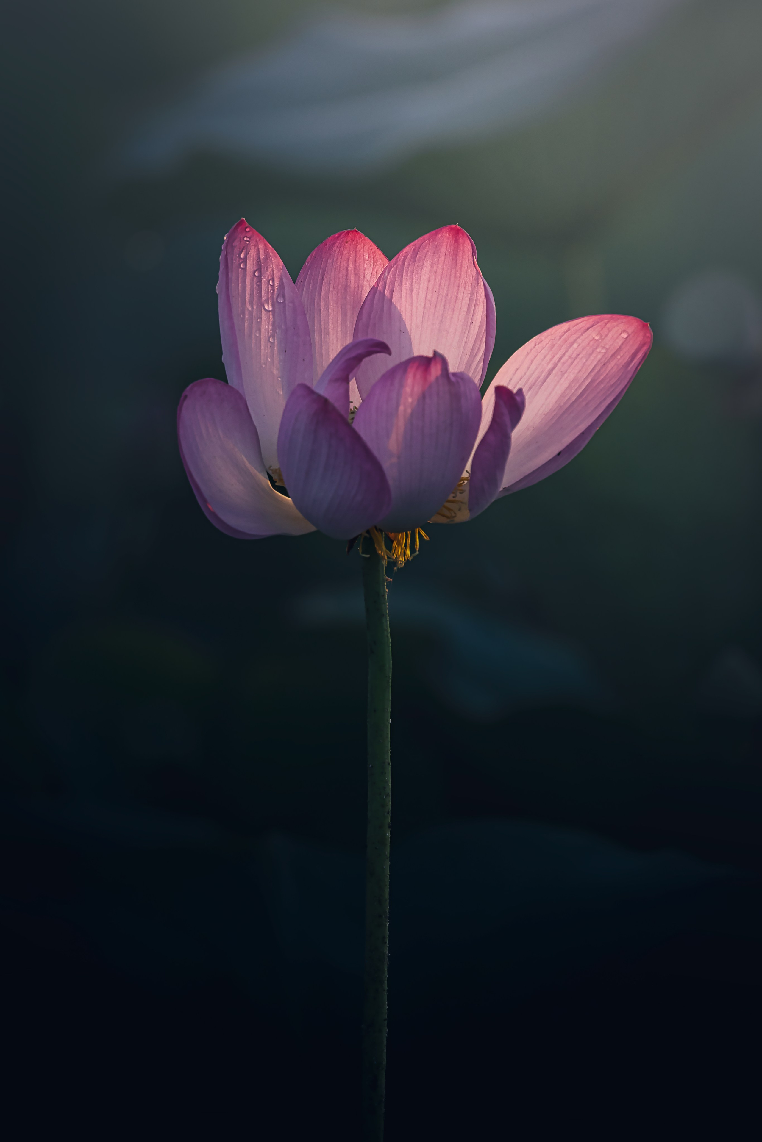 Астраханская область 2025 | Фотограф Дмитрий Купрацевич. Дмитрий Купрацевич профессиональный пейзажный и travel-фотограф