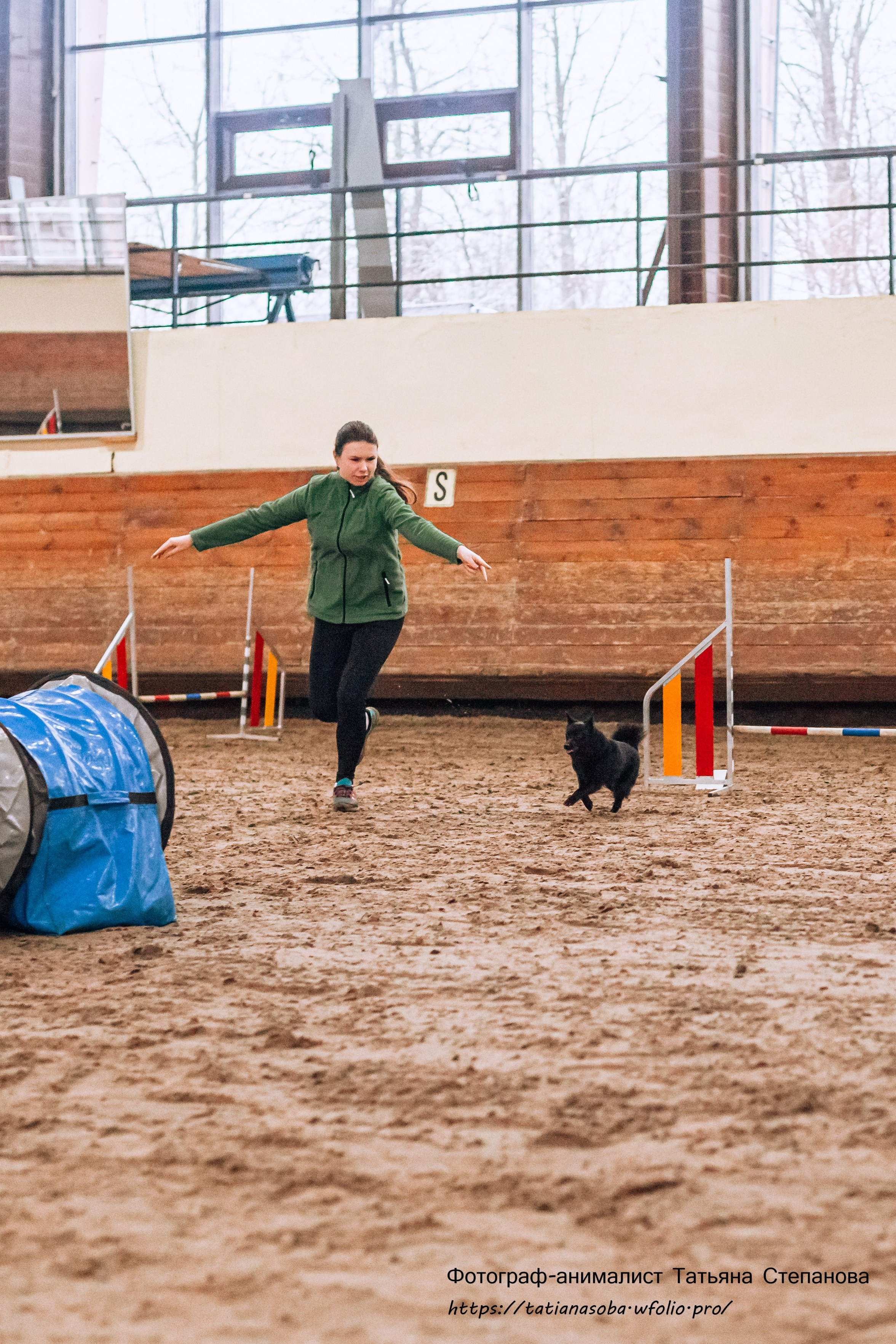 Соревнования по Аджилити 25.02.2024. Фотограф-анималист Татьяна Степанова