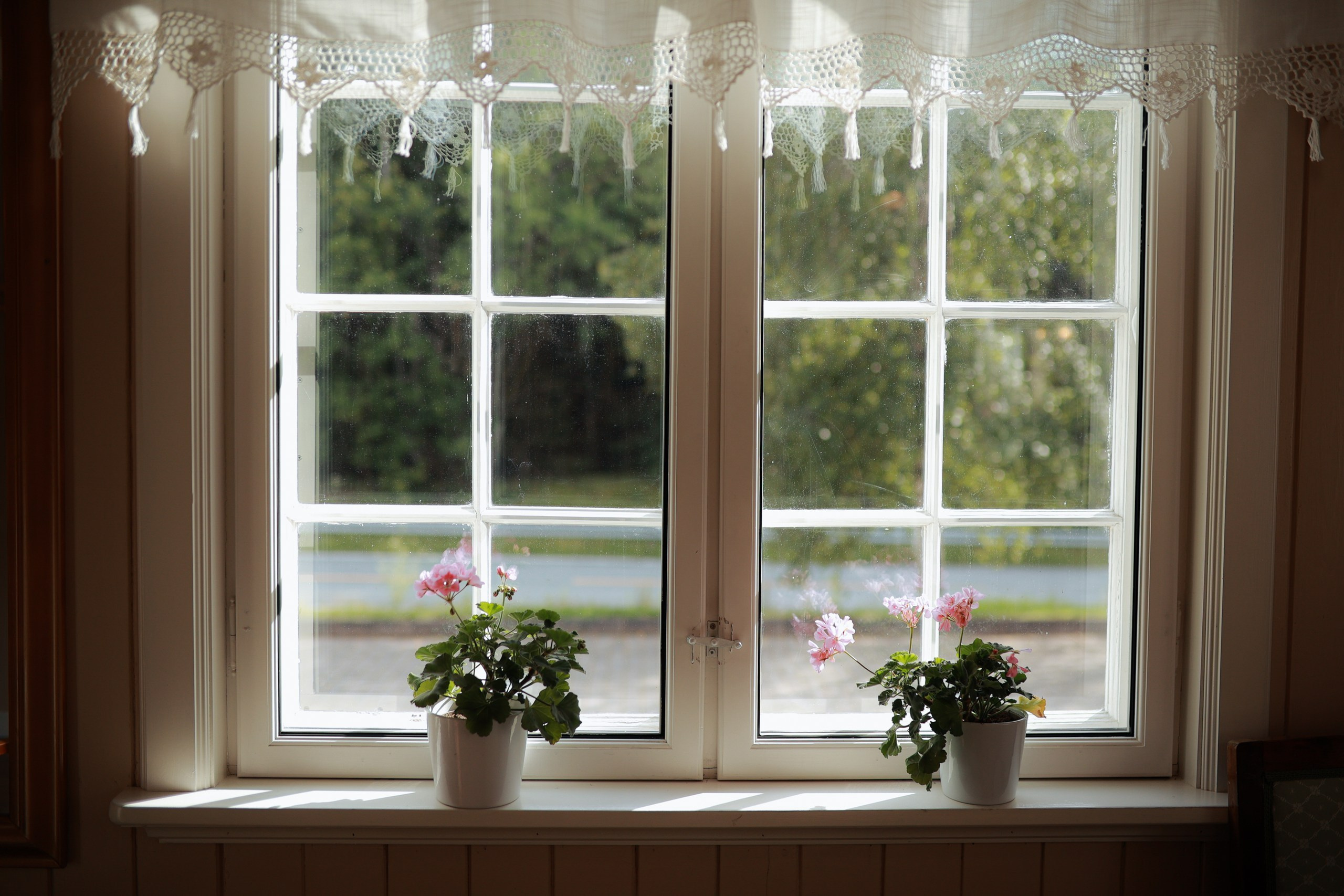 OSLO, NORWAY |ELINE + KRISTIAN. Elopement Wedding Photographer