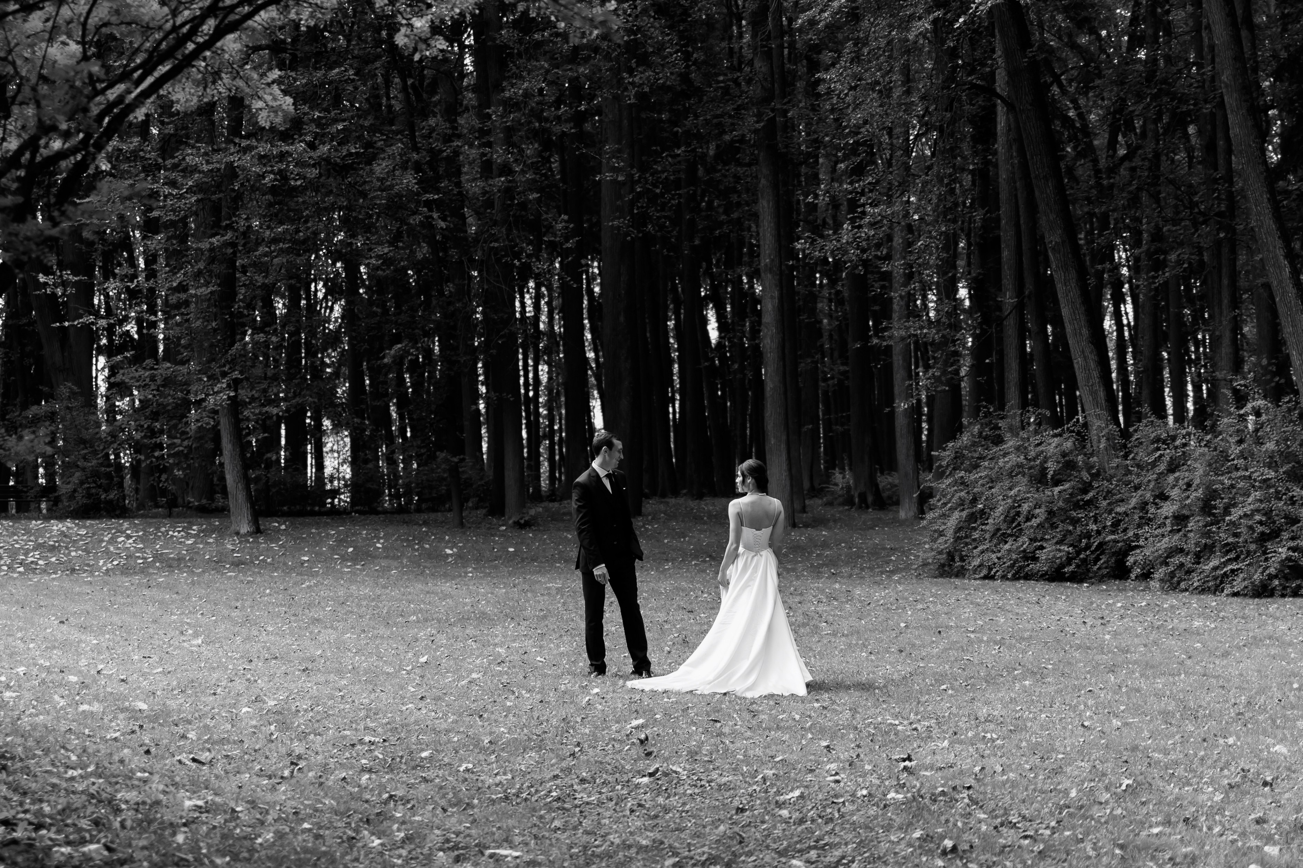 A&D. Свадебный фотограф. Москва. Мытищи