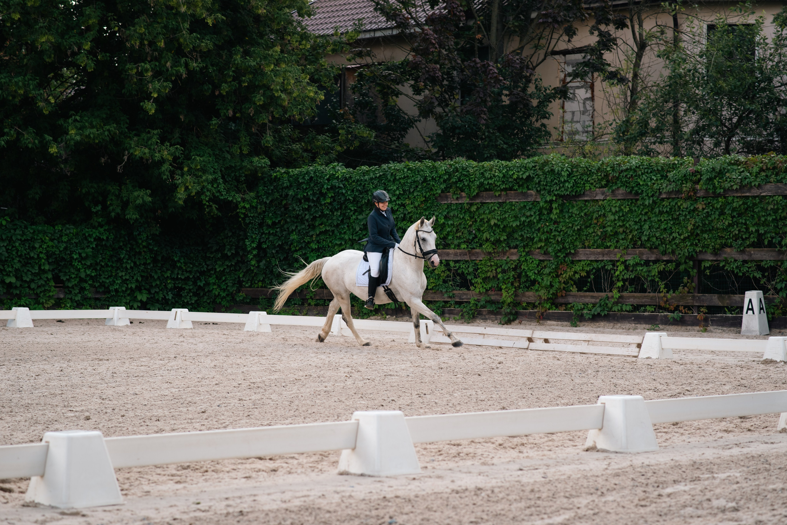 Выездка 10.08.25. Фотограф, визажист. Москва