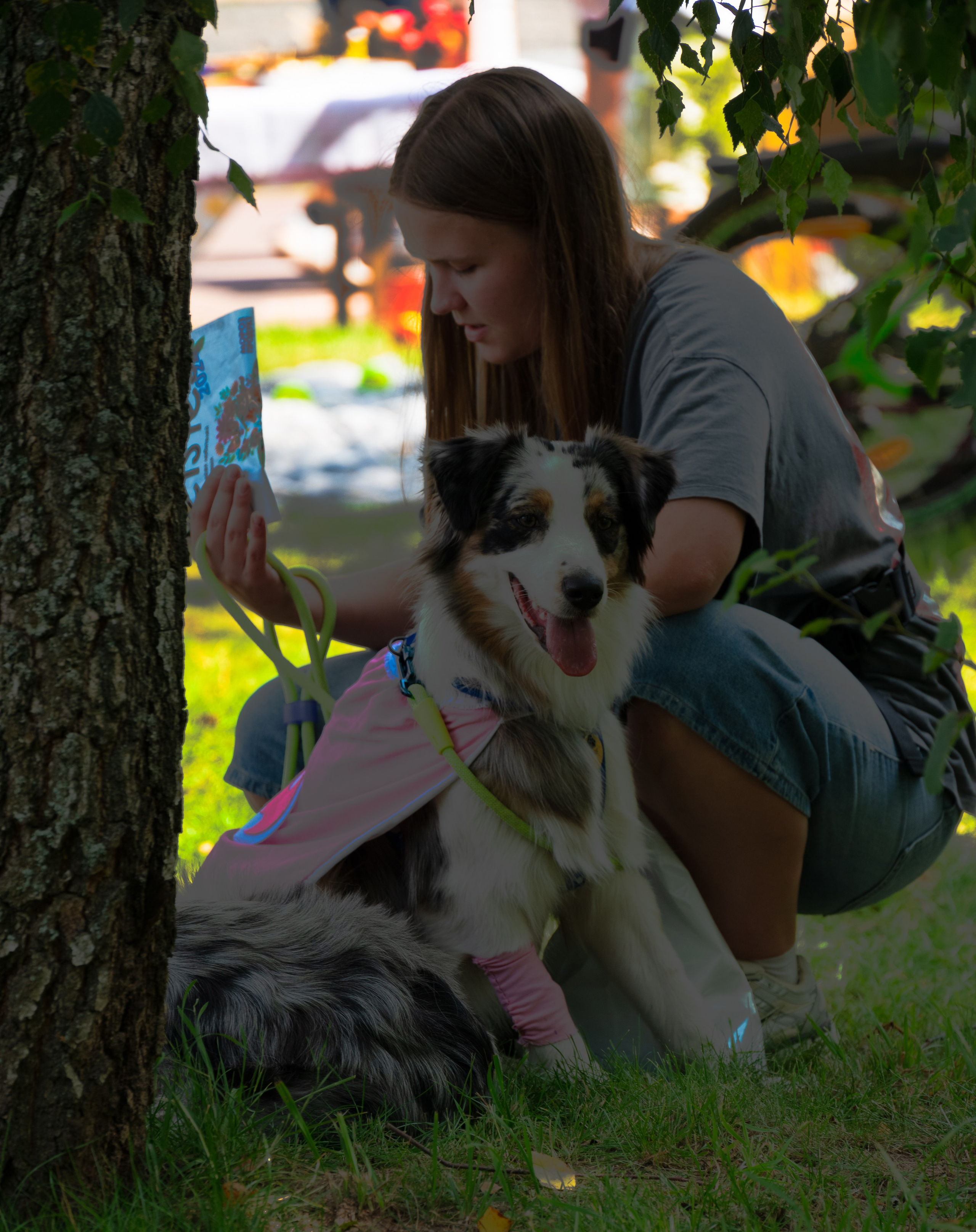 Pets Fest. Юлия Чайко, фотограф в Минске