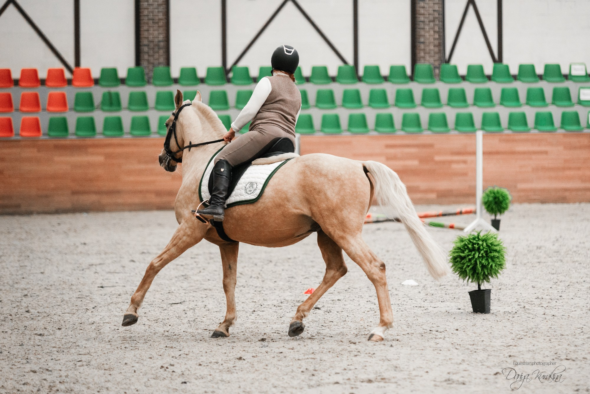 8-я международная выставка Конная Россия. Конный фотограф Куракина Дарья • Фотосессии с лошадьми