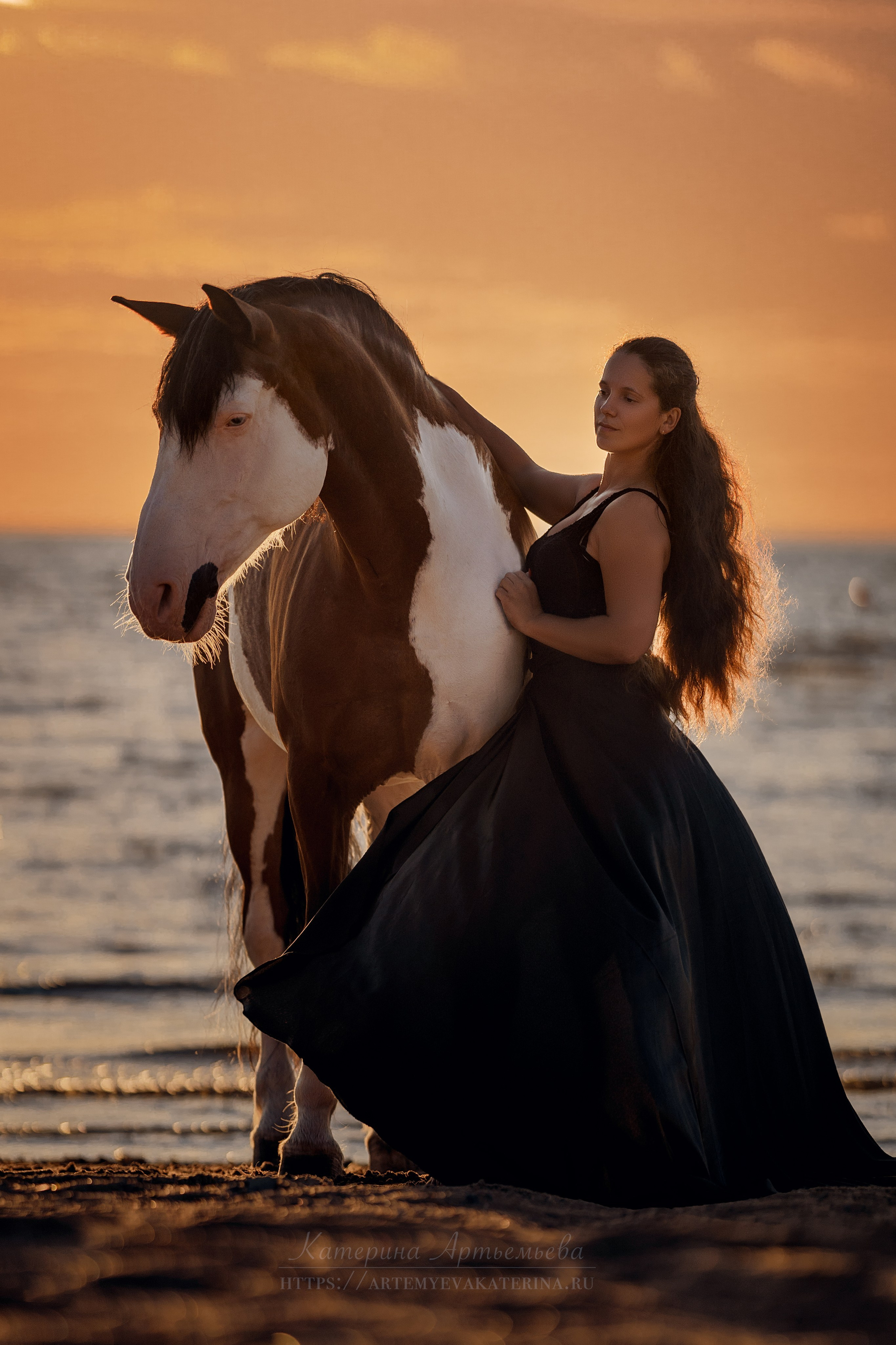 Фотосессии с лошадьми. Фотограф Артемьева Катерина|фотосессии с лошадьми