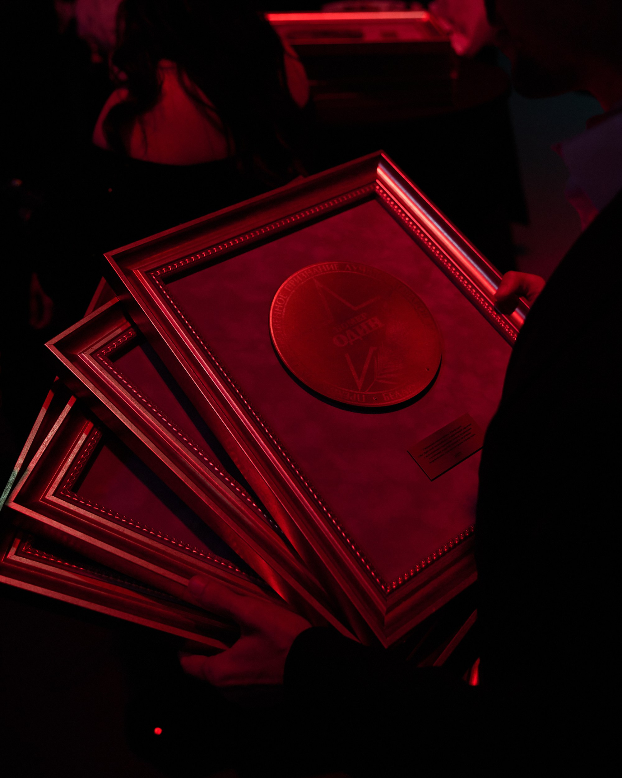 Премия № 1 (для БМК). Свадебный фотограф в Минске в Москве в РБ Анатолий Полишко