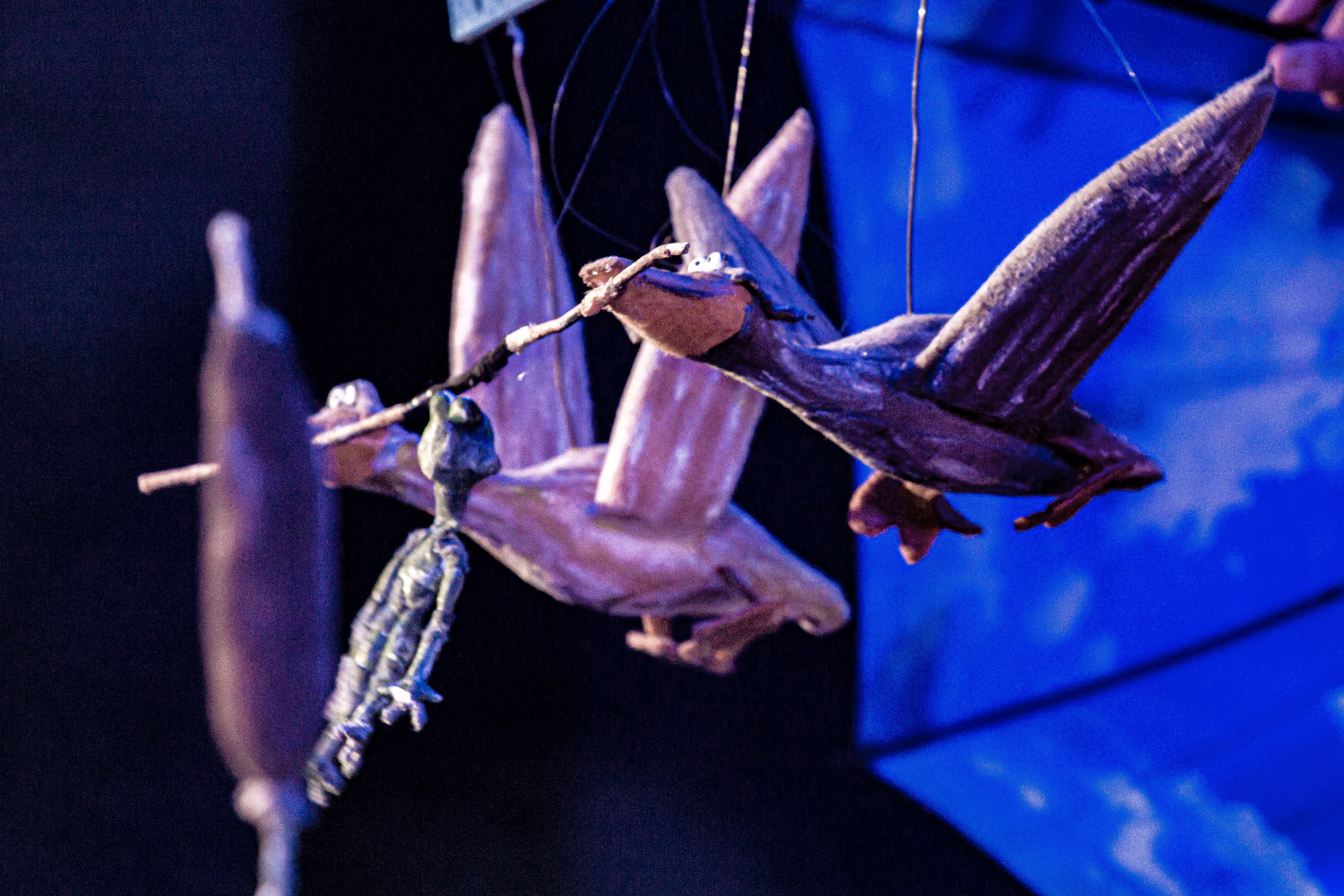 Спектакль театра Саквояж Лягушка путешествиница. Фотограф в Сочи Юрий Шептаев