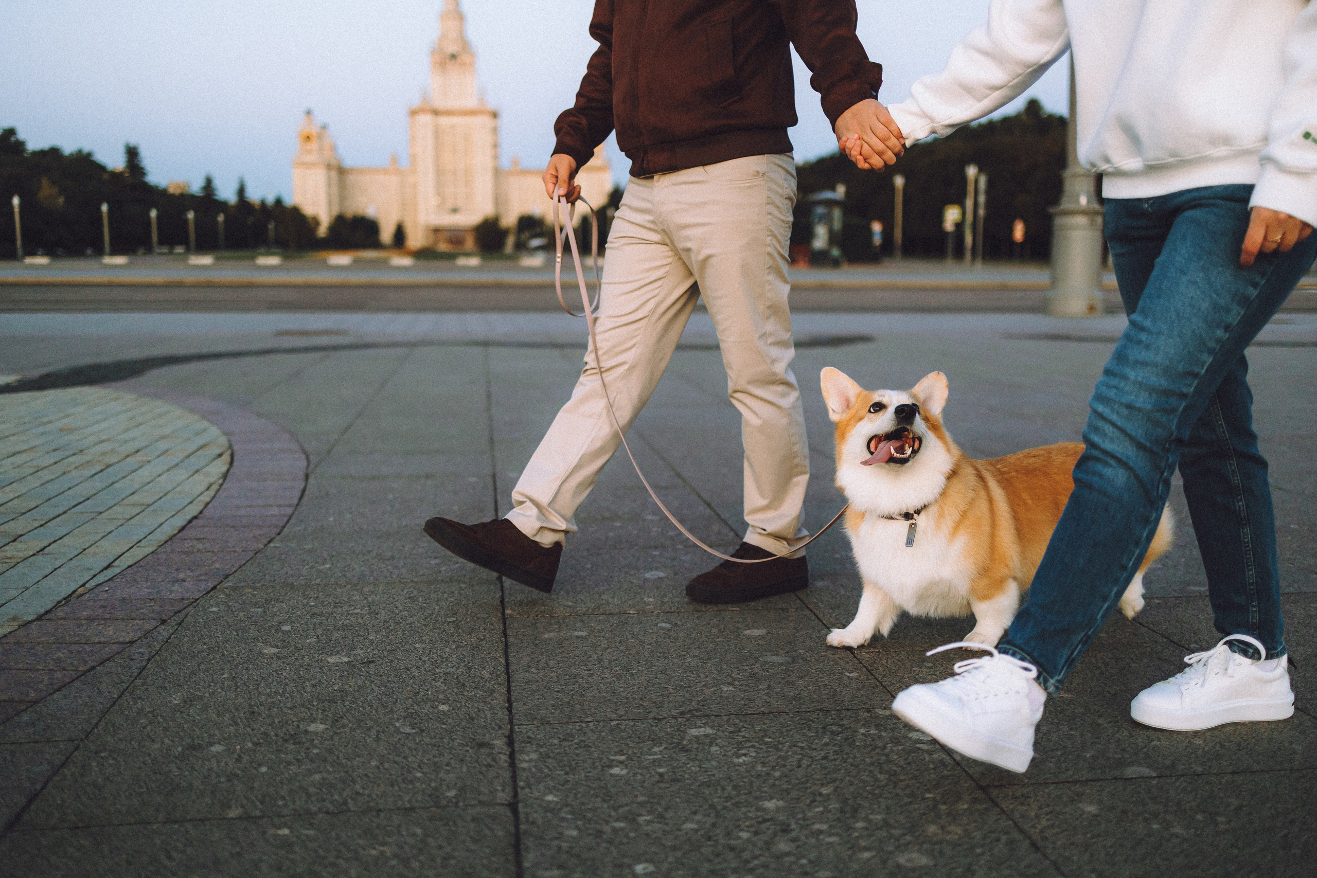 Пуговка и ее семья