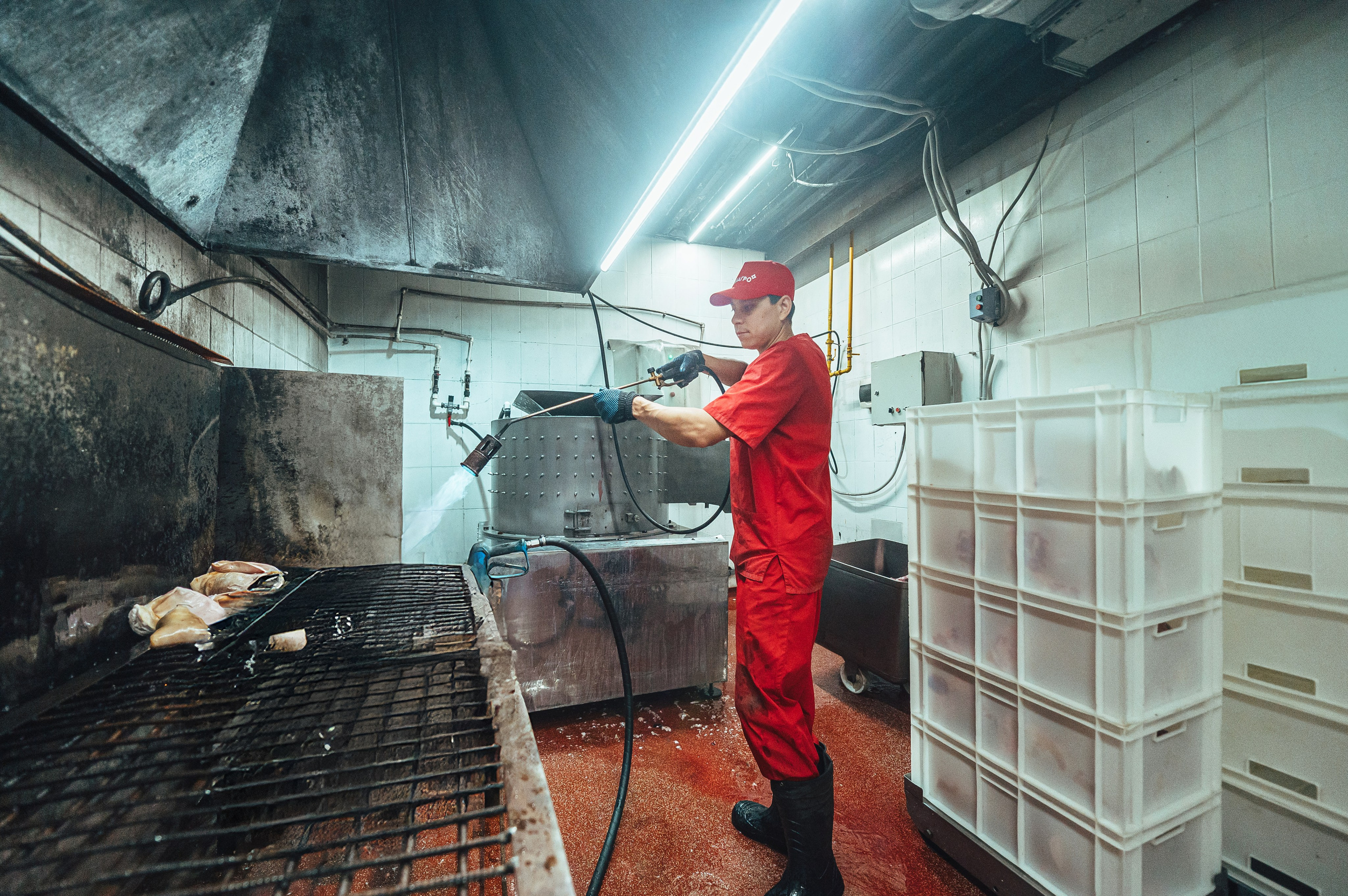 Свинокомплекс «СИБАГРО». Свадебная и концептуальная фотография в городе Улан-Удэ