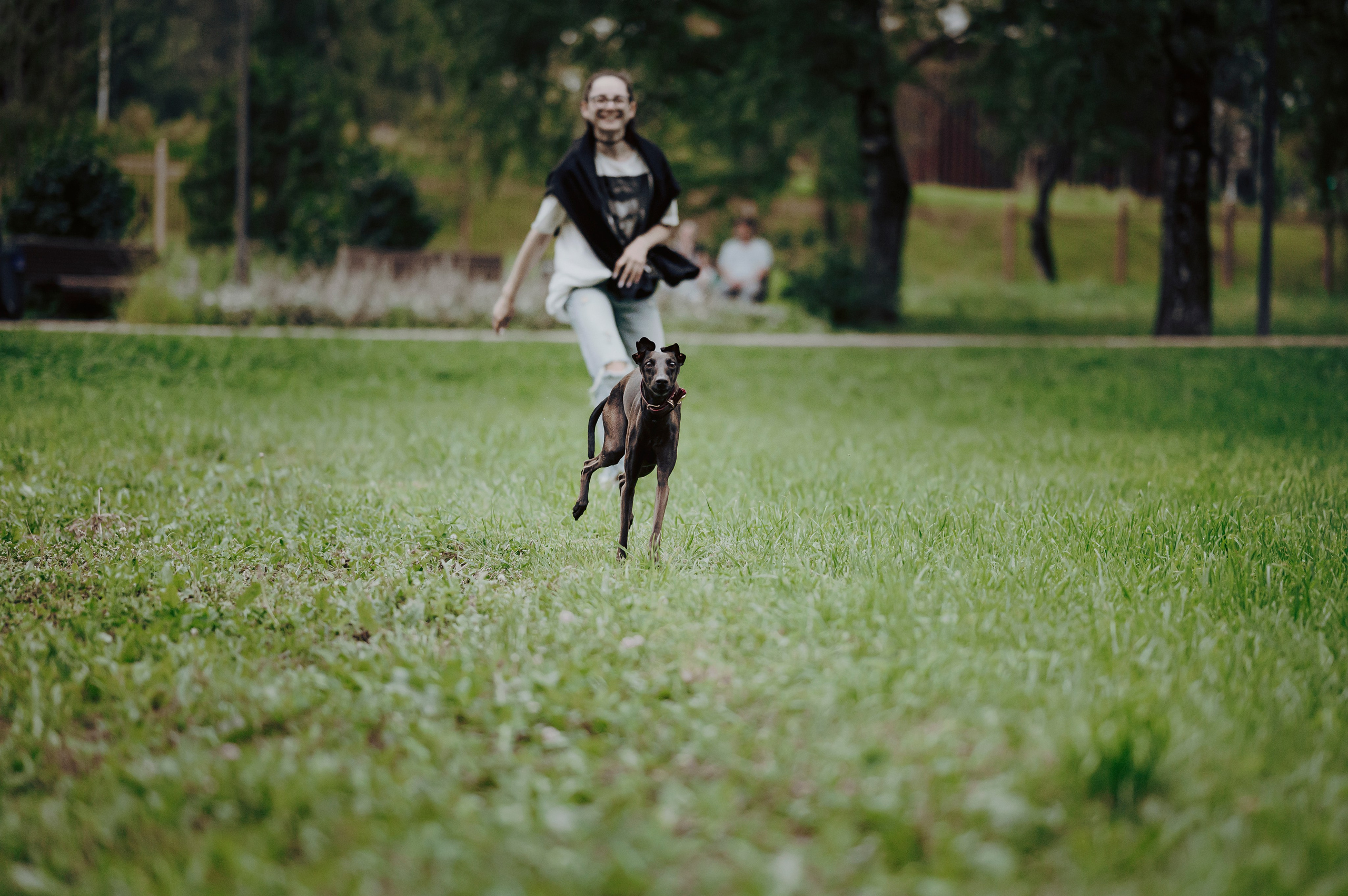 Дофи. Фотограф- анималист Александра Матвеева
