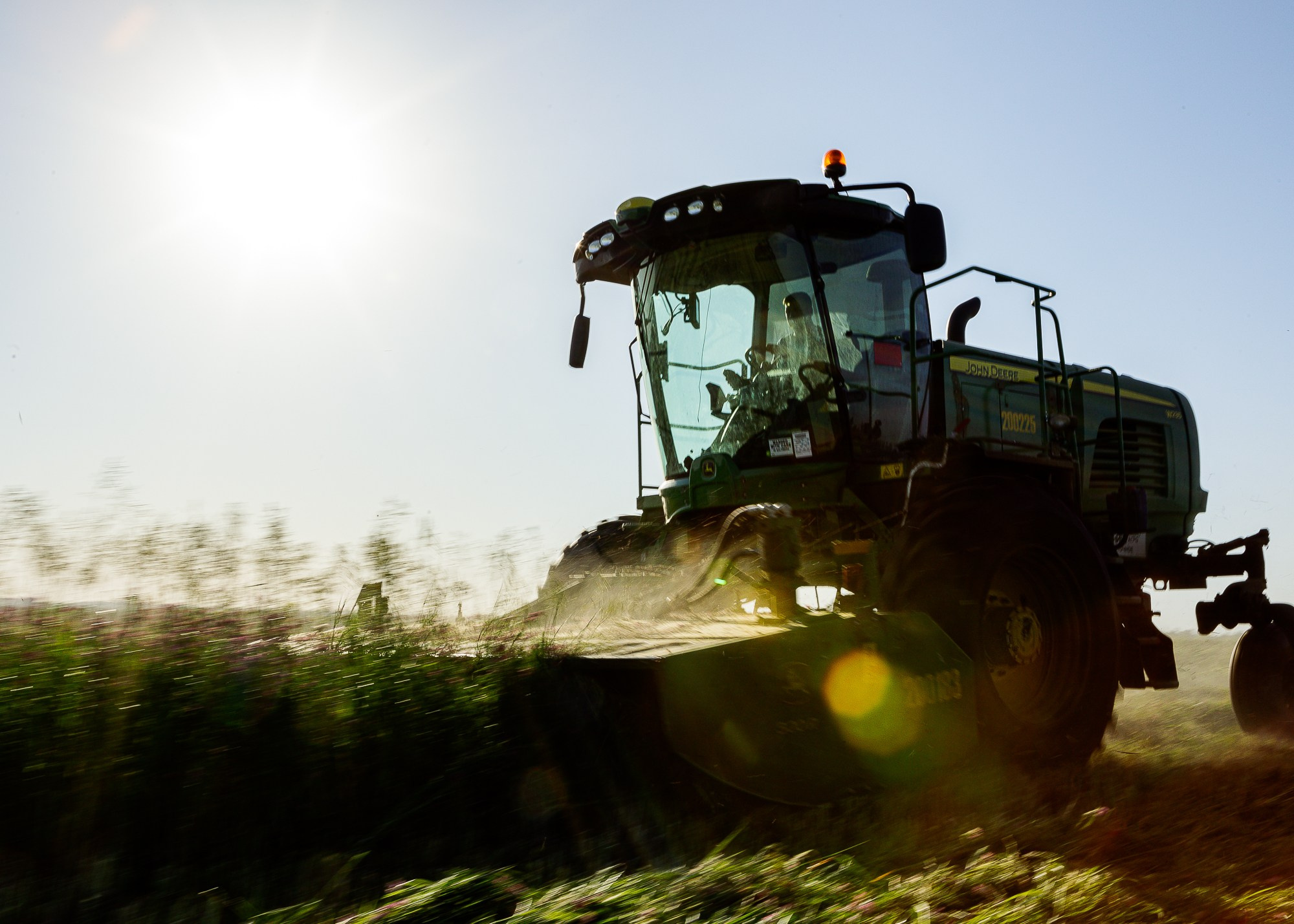 ЭкоНива — производитель молока № 1 в России