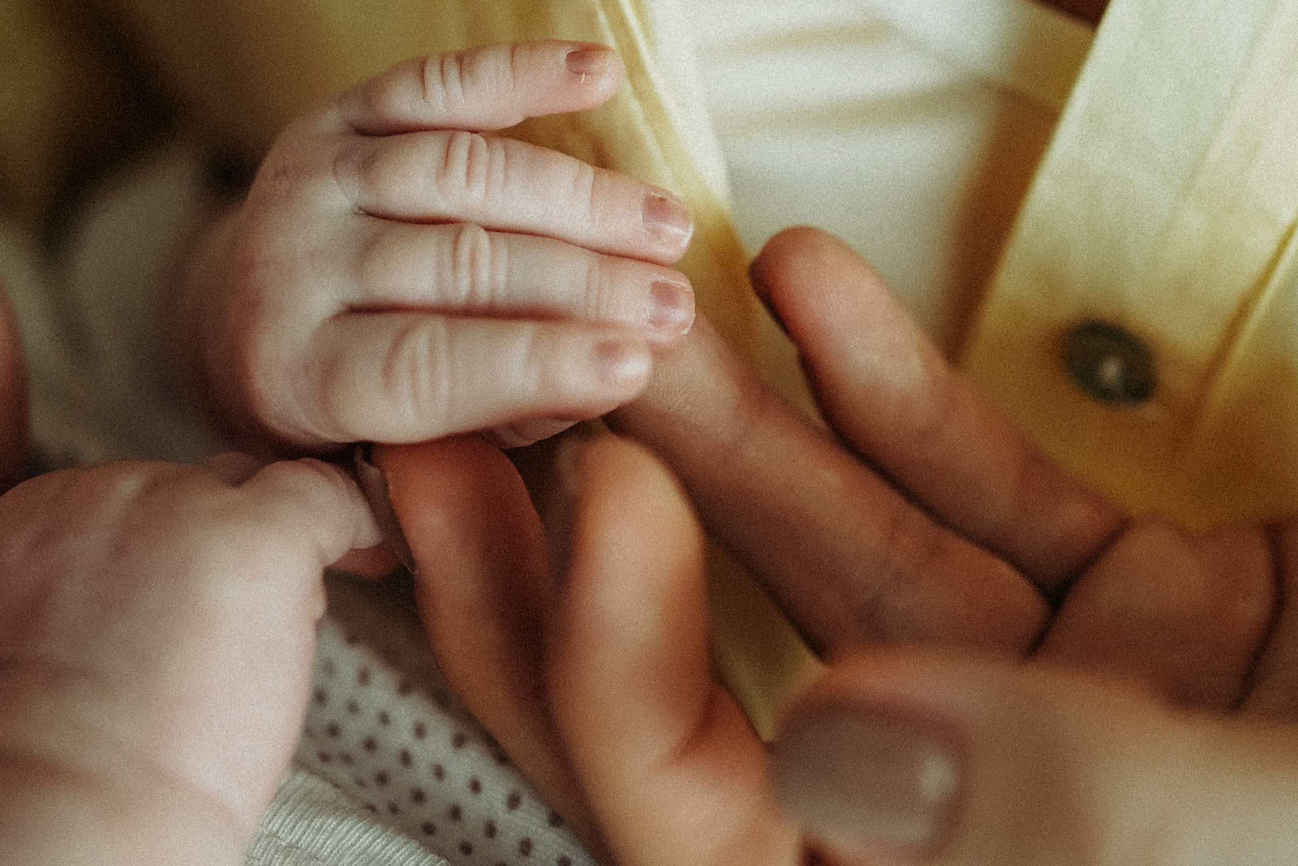 Елена, Андрей и малыши. Фотограф Наталья Колганова
