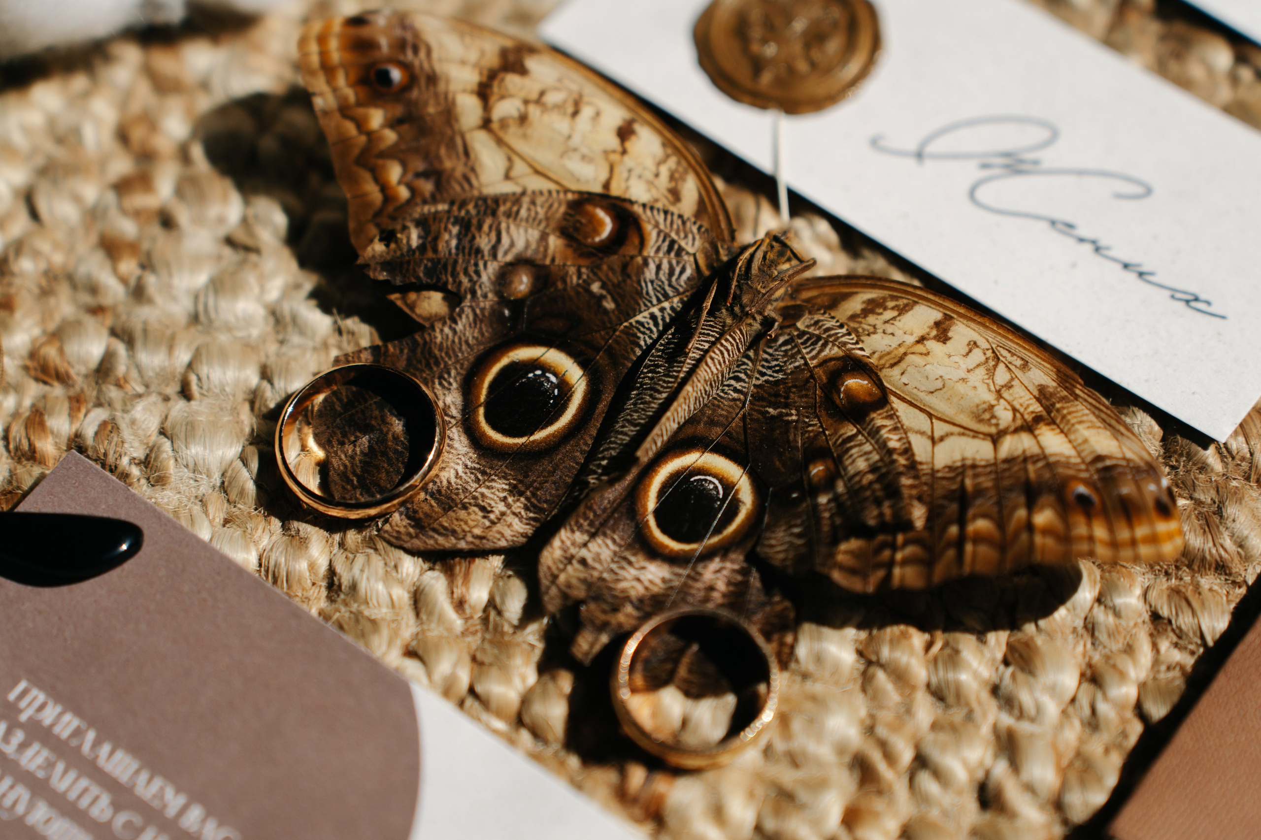 Рита и Сергей. Свадебный и семейный фотограф Кокушева Юлия Нижний Новгород