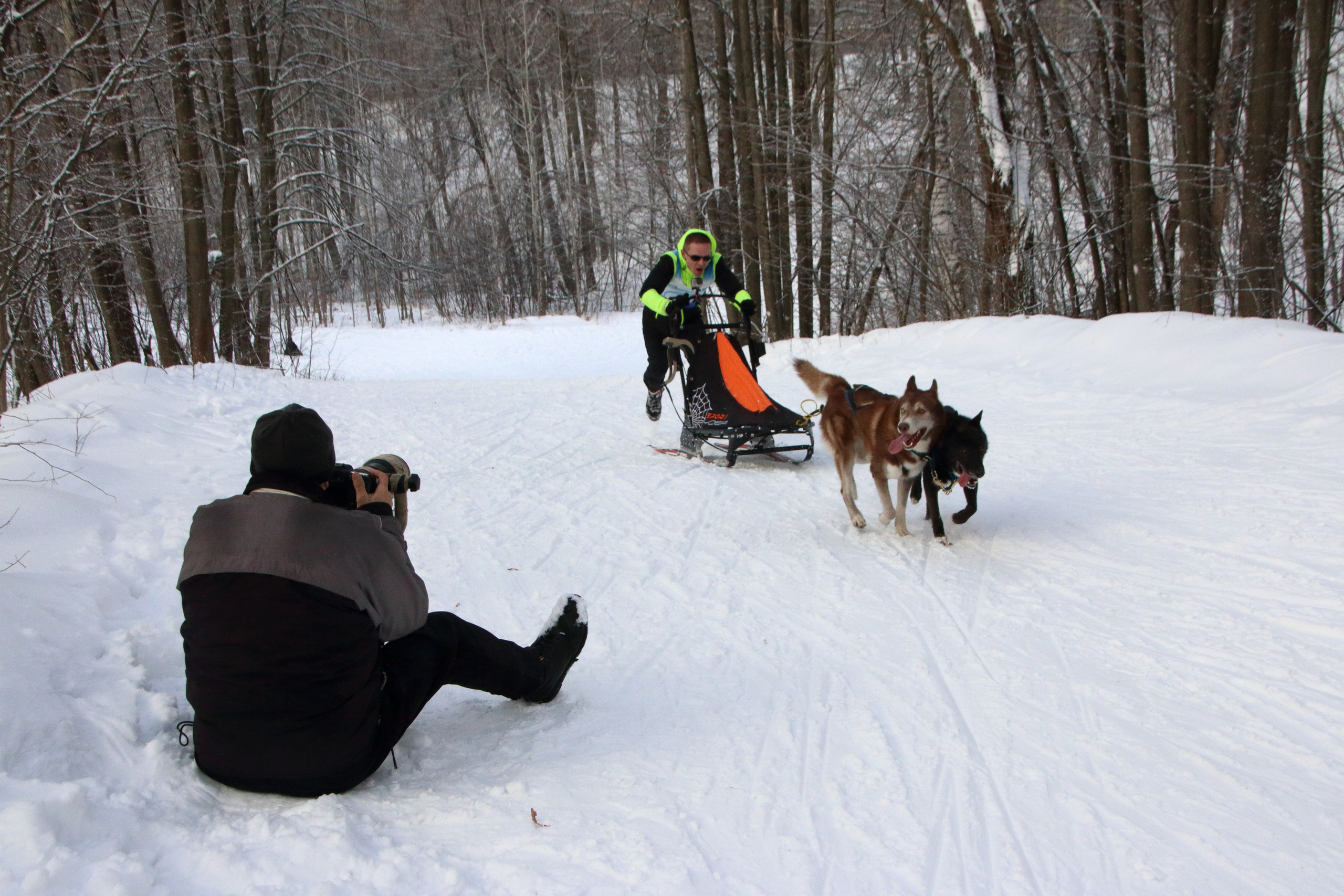 06.01.2020 Рождественские гонки на собаках. Фотообъединение Самарского областного отделения Союза журналистов России