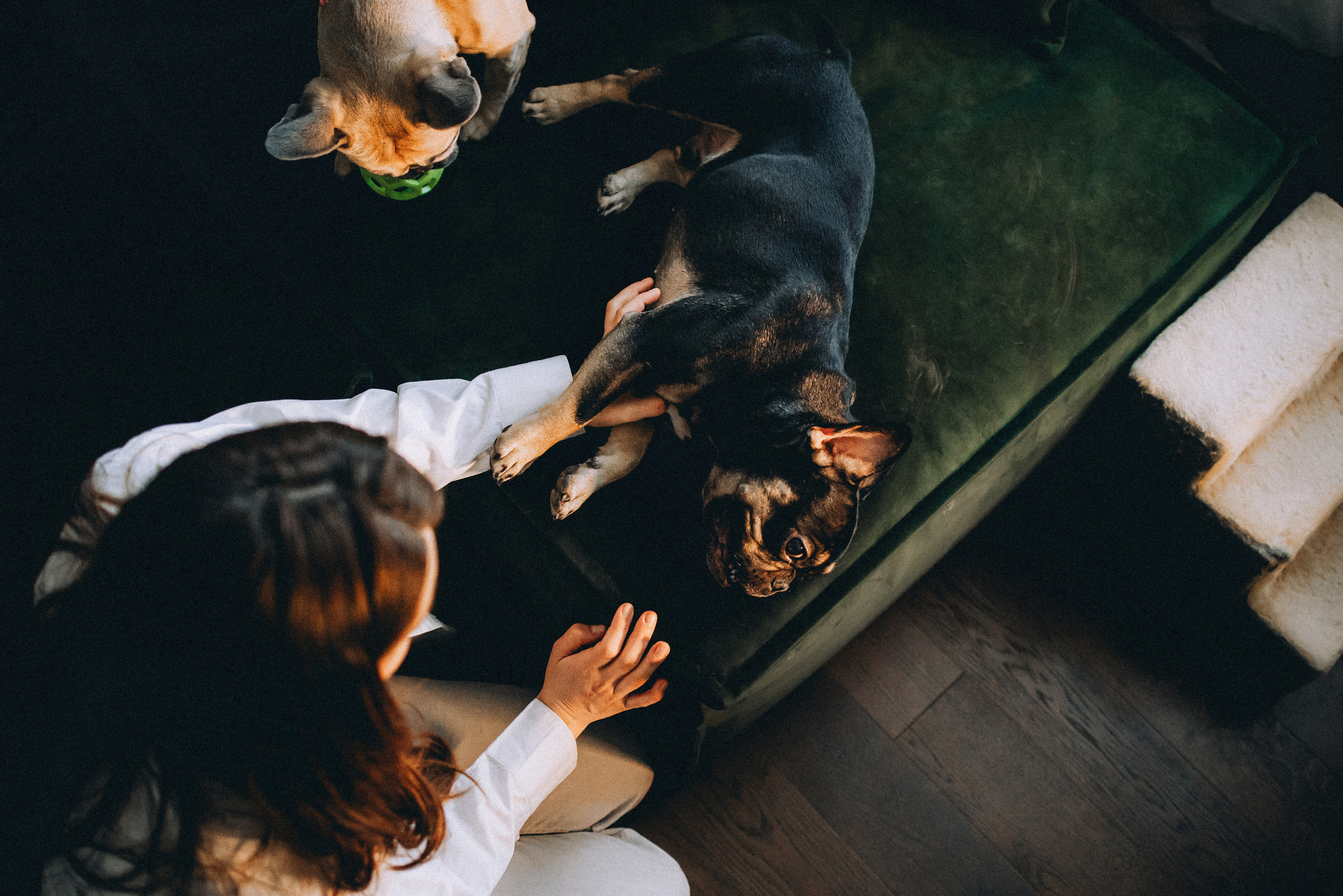 Юля, Мия и Зек