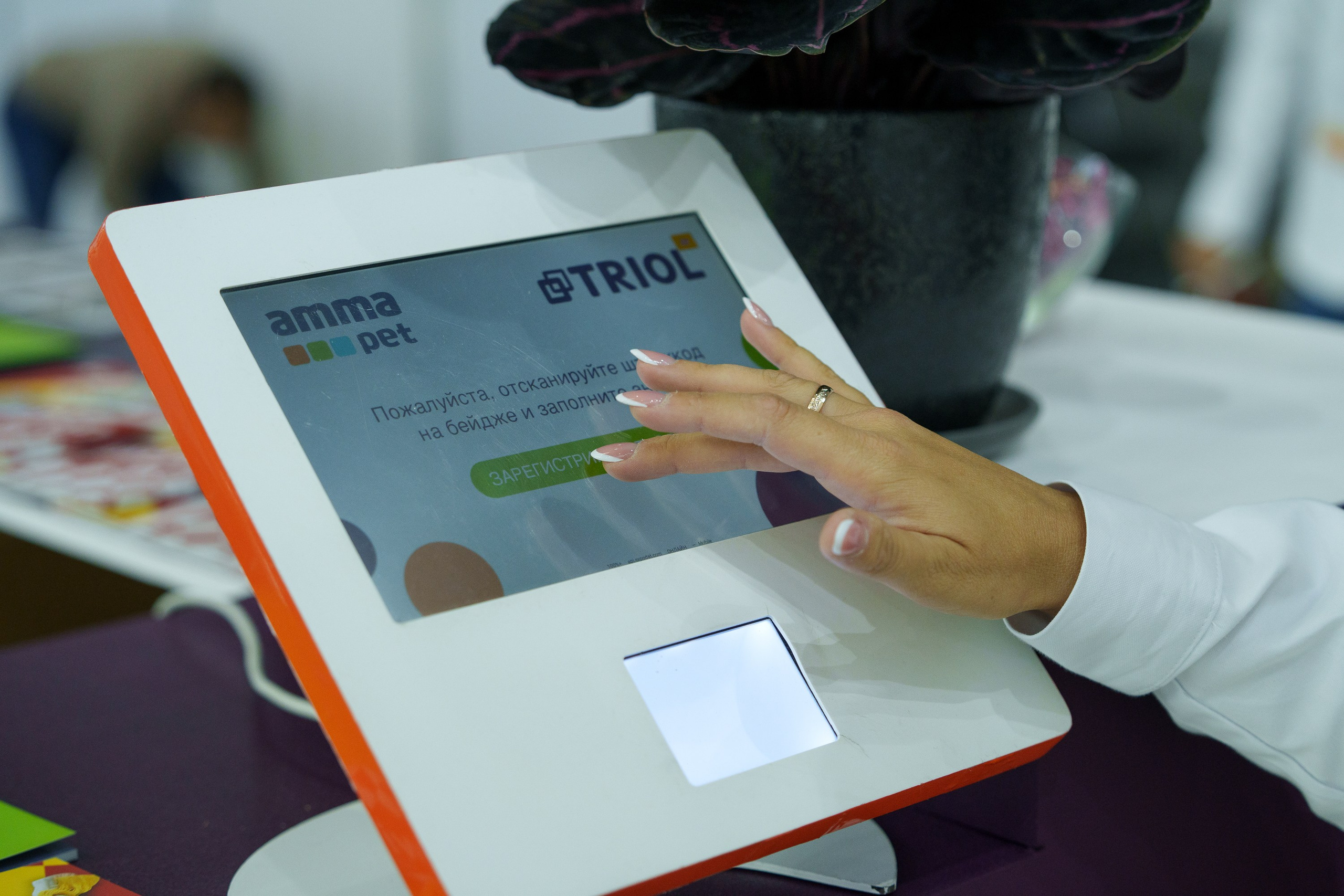 ParkZoo 2024. Профессиональное решение для частных лиц и бизнеса