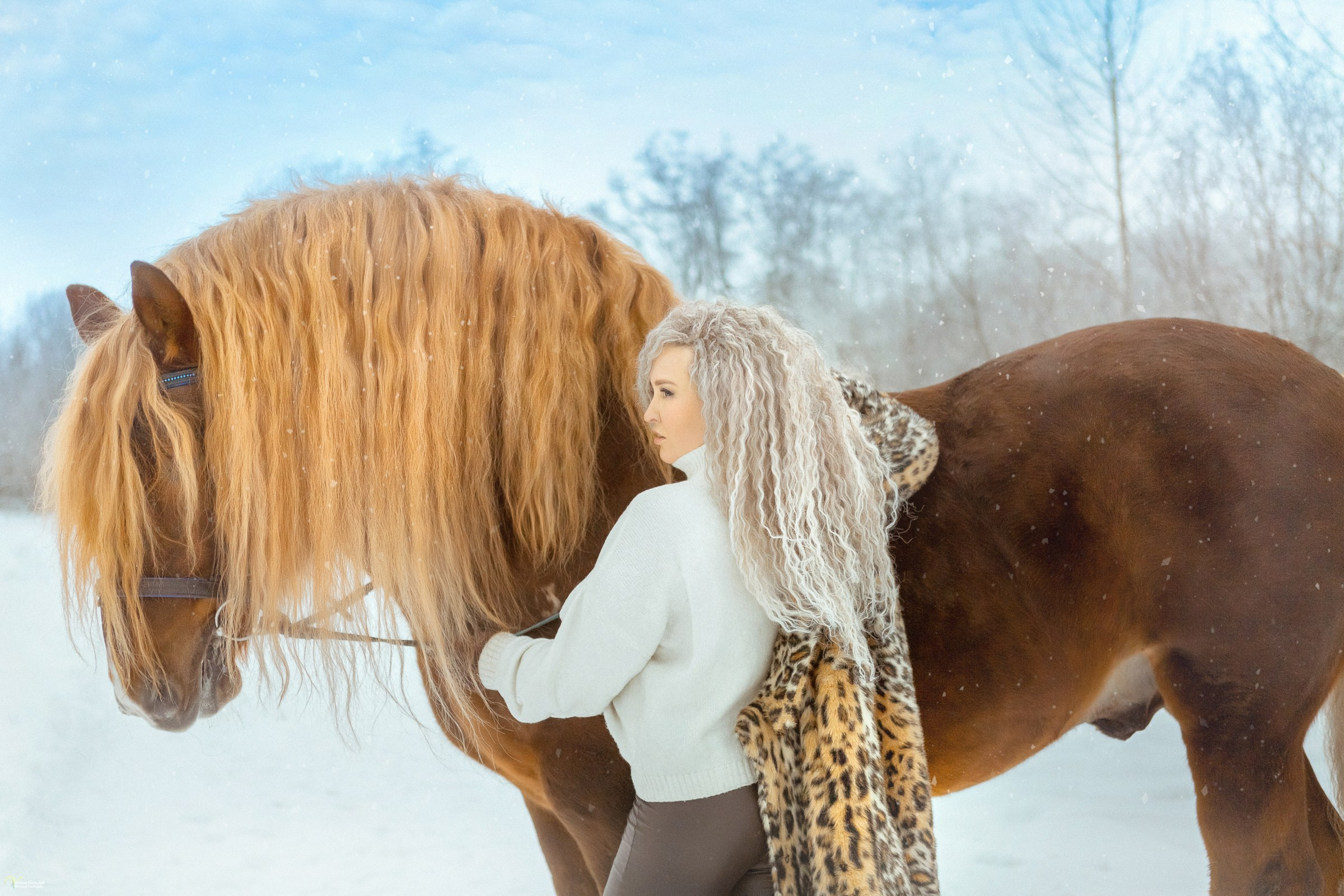 Фотосессии с лошадьми зимой. Фотограф женский и мужской портрет Санкт-Петербург