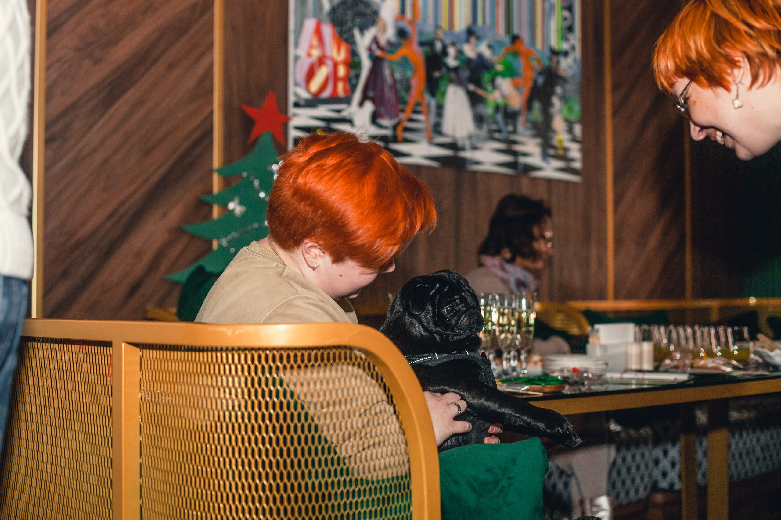 Мопсовстреча 02.12.2023. Фотограф-анималист Татьяна Степанова