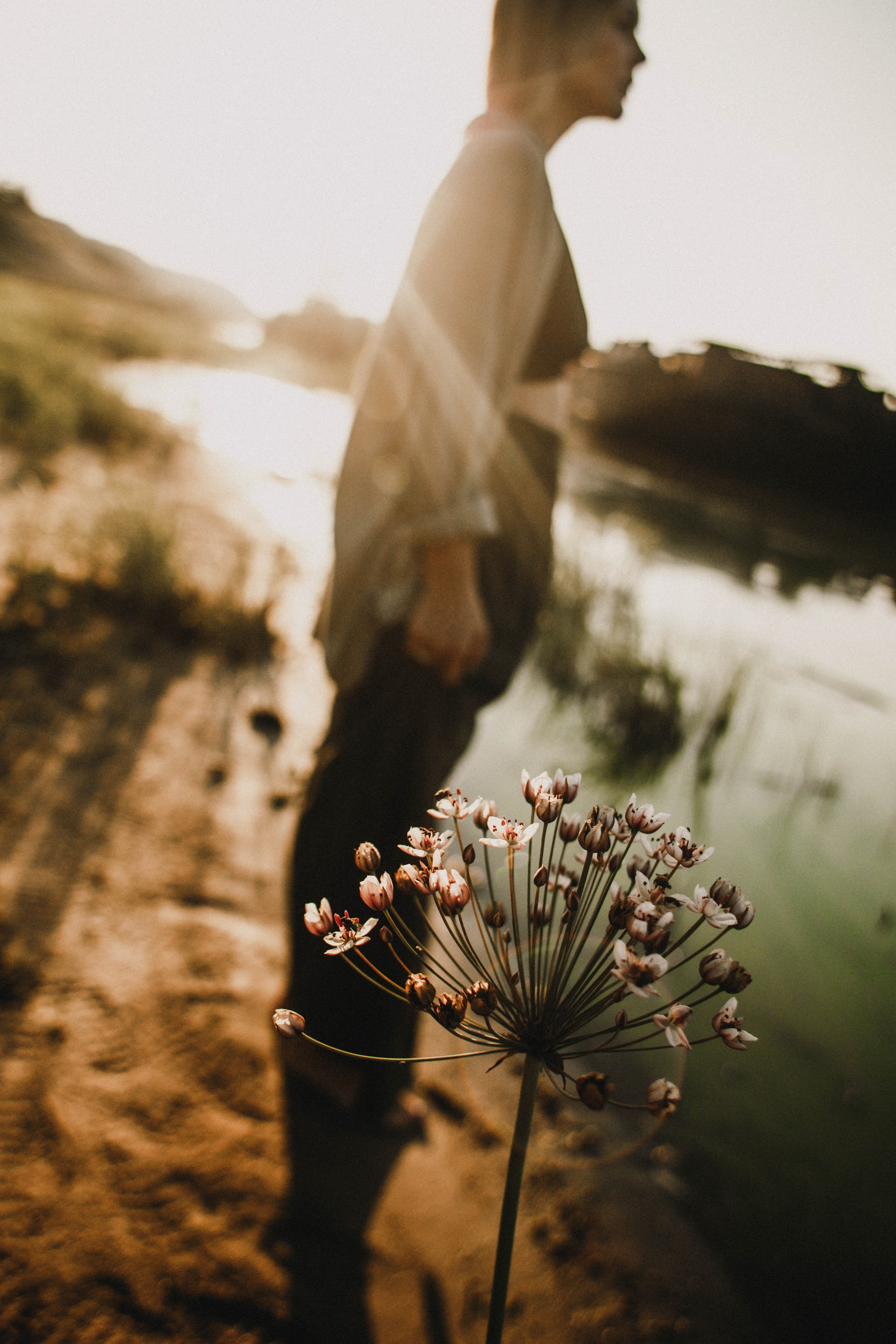 Ирина. Закат на реке. Фотограф в Нижнем Новгороде