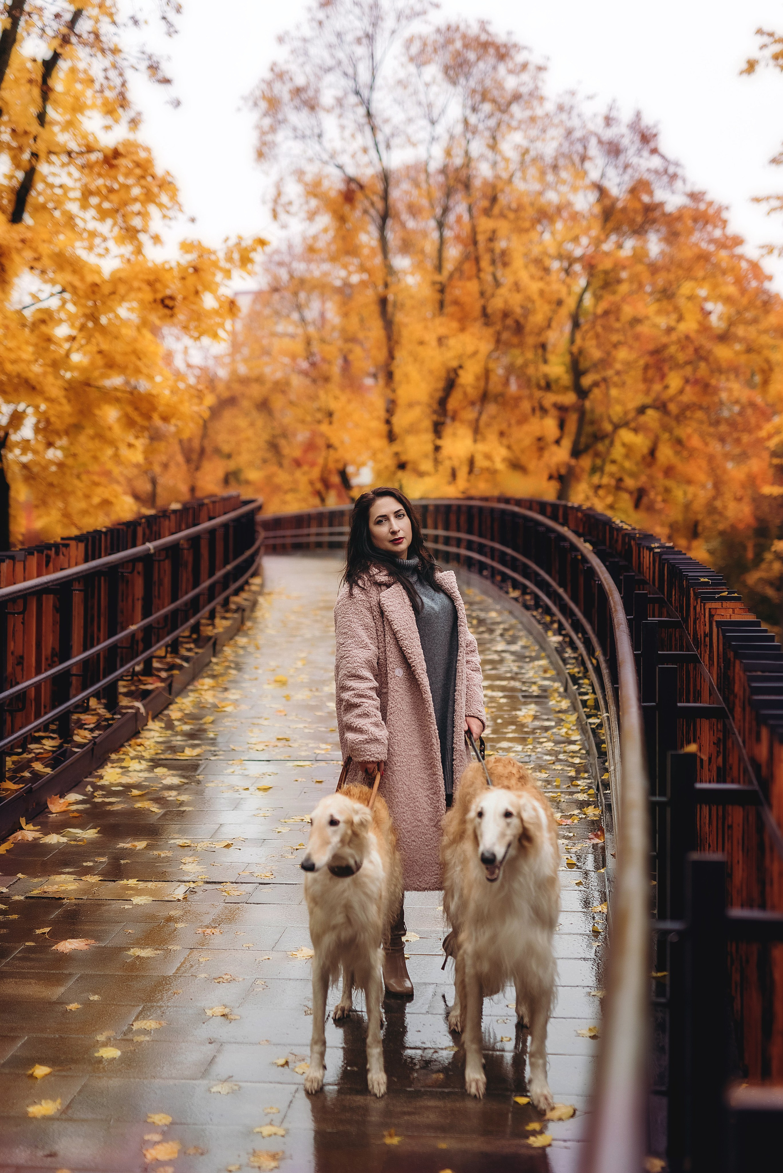 Фотосессия с борзыми. Семейный, детский фотограф в Воронеже Анна Никитина