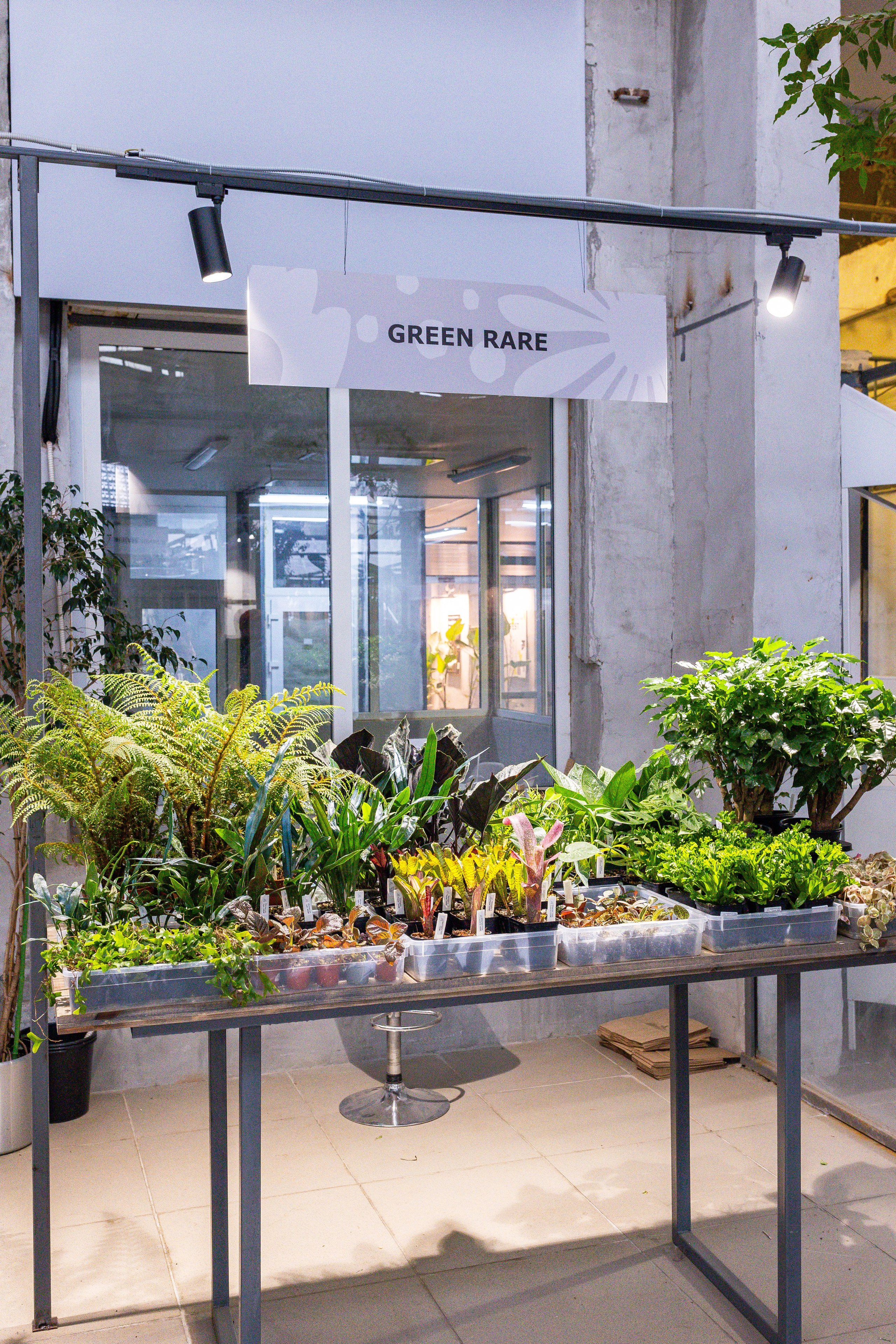 Ярмарка Green Rare 20.09.25. Александра Куликова фотограф, Москва