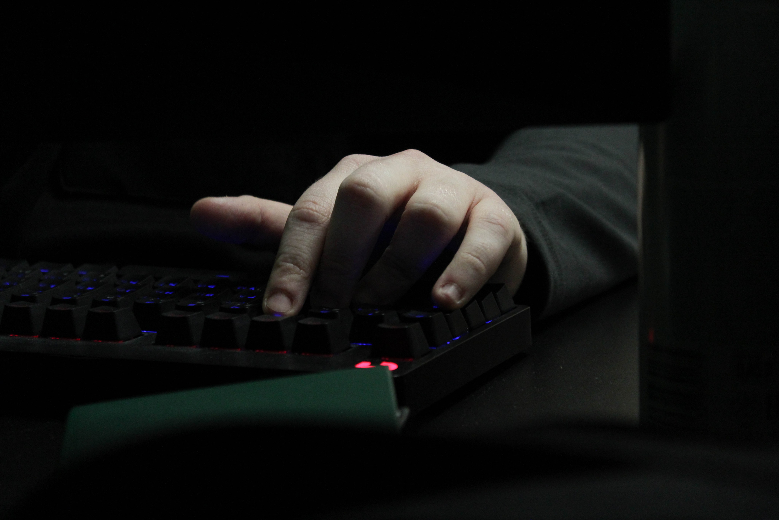 Polycup. Карпогоры, Санкт-Петербург