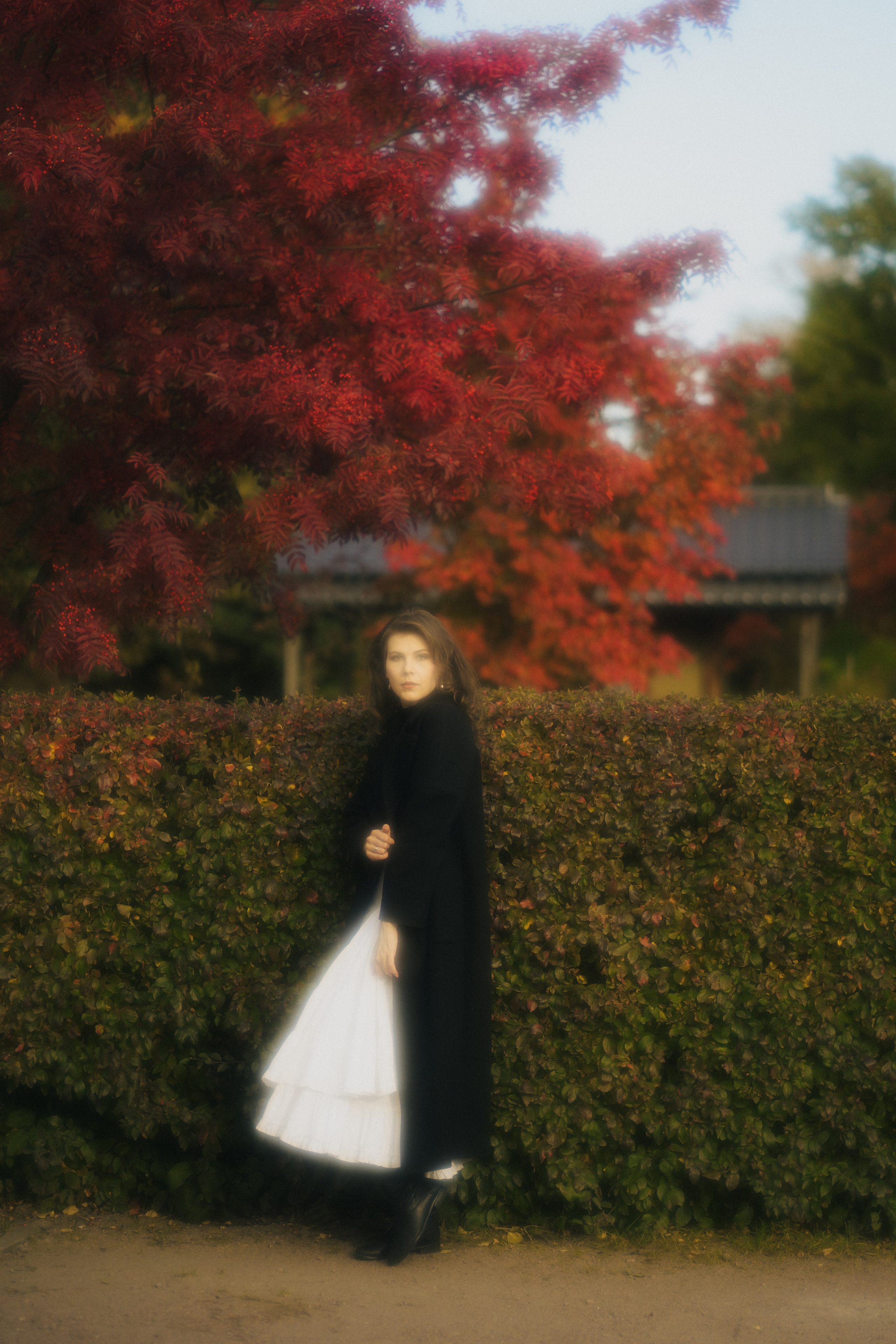 Аня. Фотограф г. Санкт-Петербург Александра Катанакова