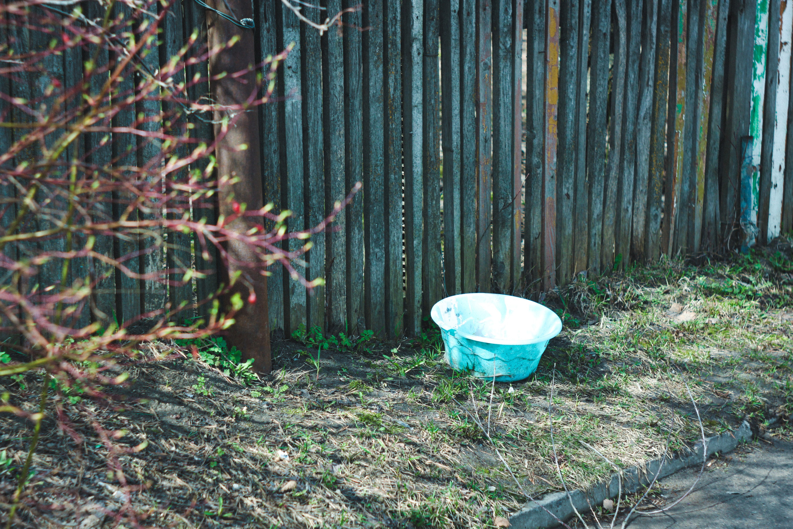 Градус смелости. Den Mirov — Фотограф, Музыкант