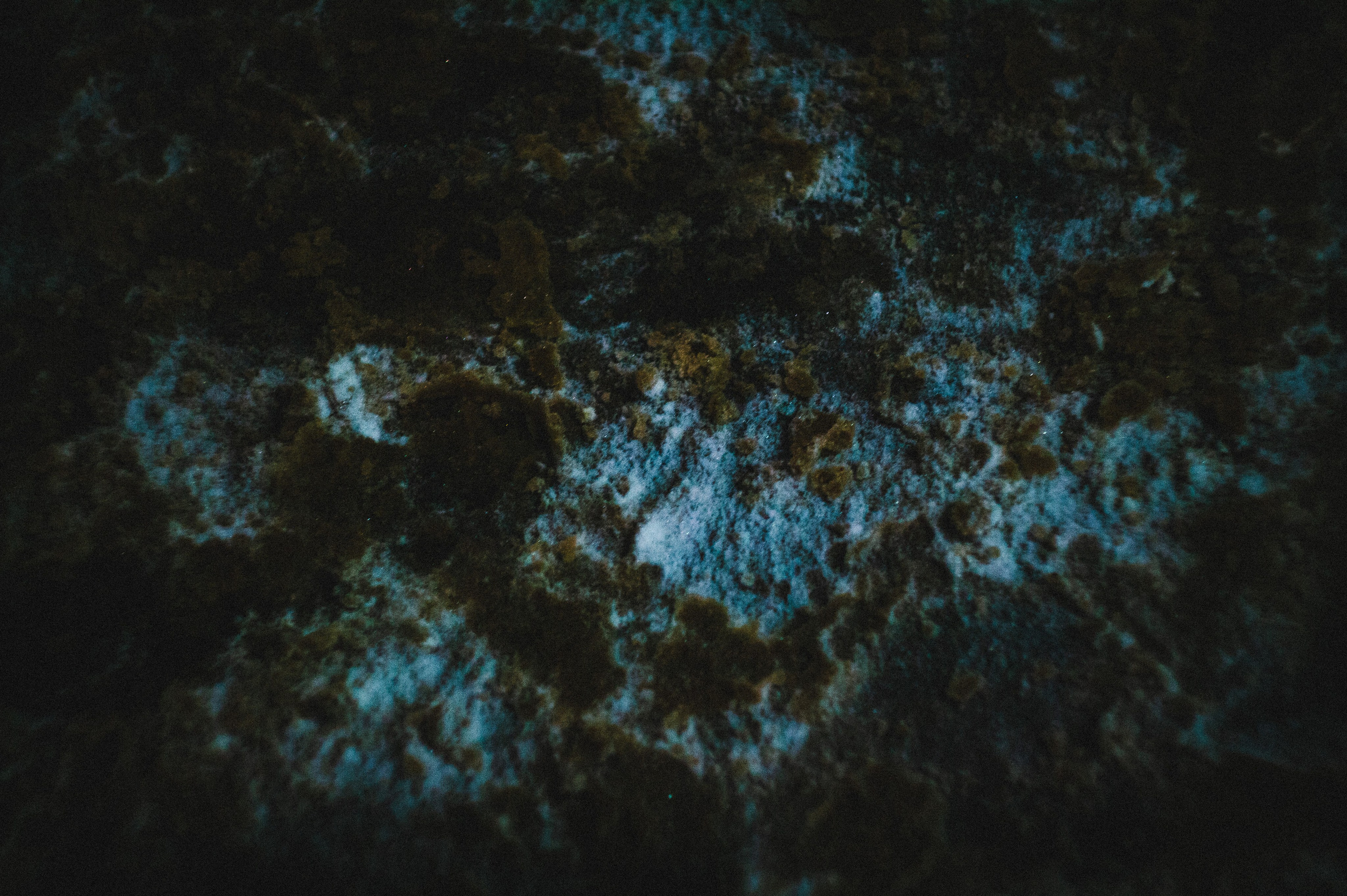 Барабаны. Den Mirov — Фотограф, Музыкант