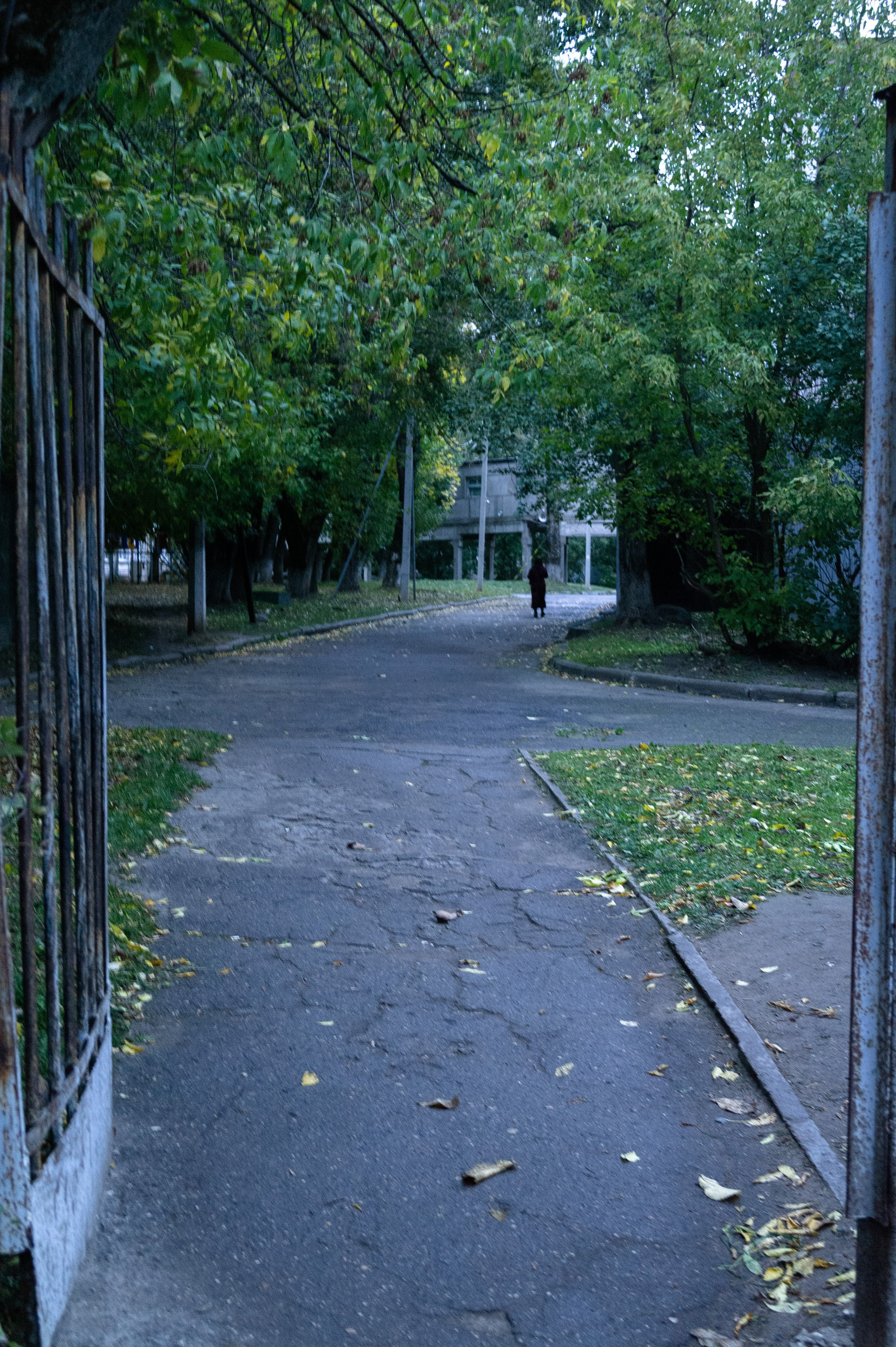 Сентябрь 2025. Den Mirov — Фотограф, Музыкант