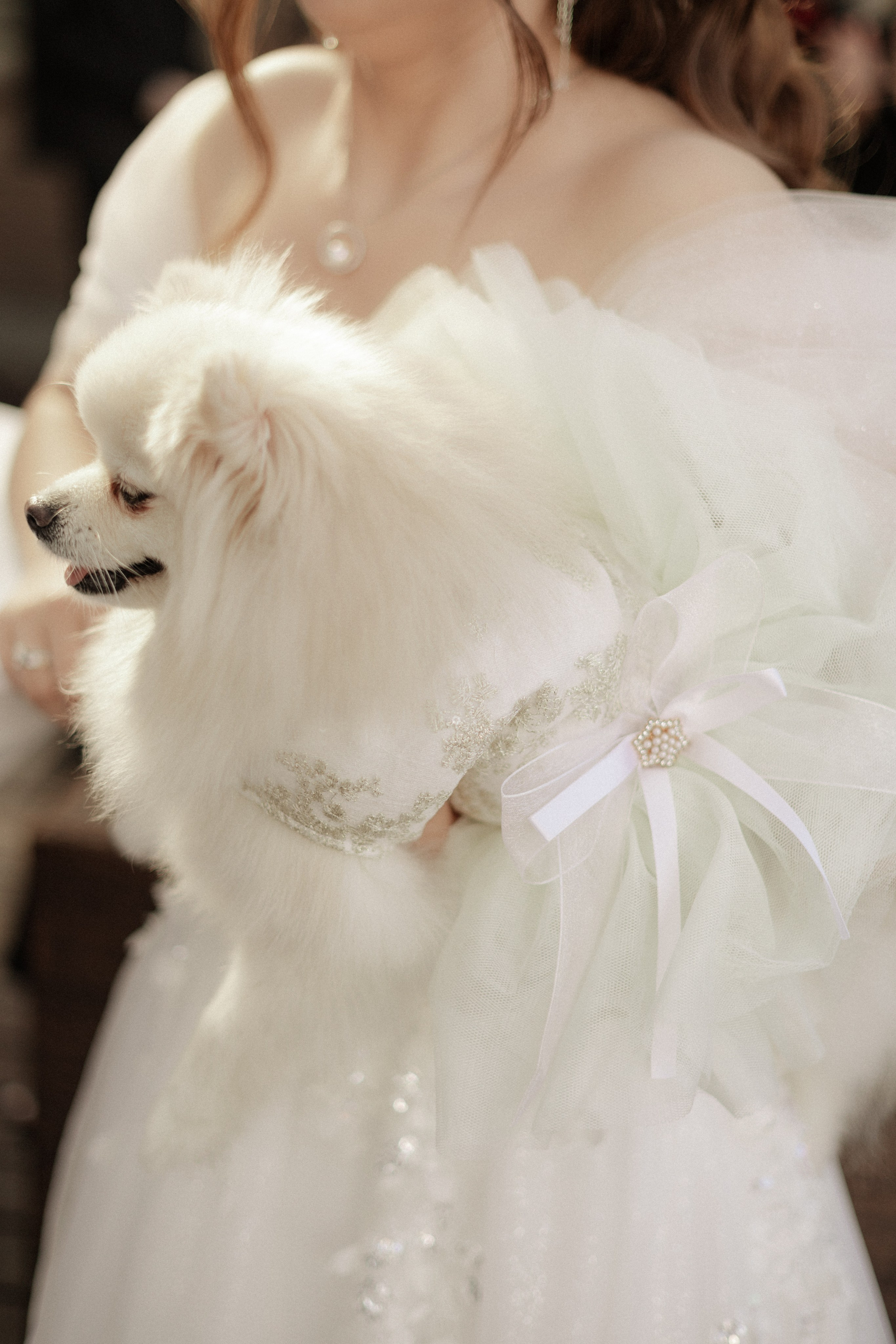 Аля и Паша. Свадьба в Пахра Парк. Свадебный и портретный фотограф в Москве Анастасия Масюк