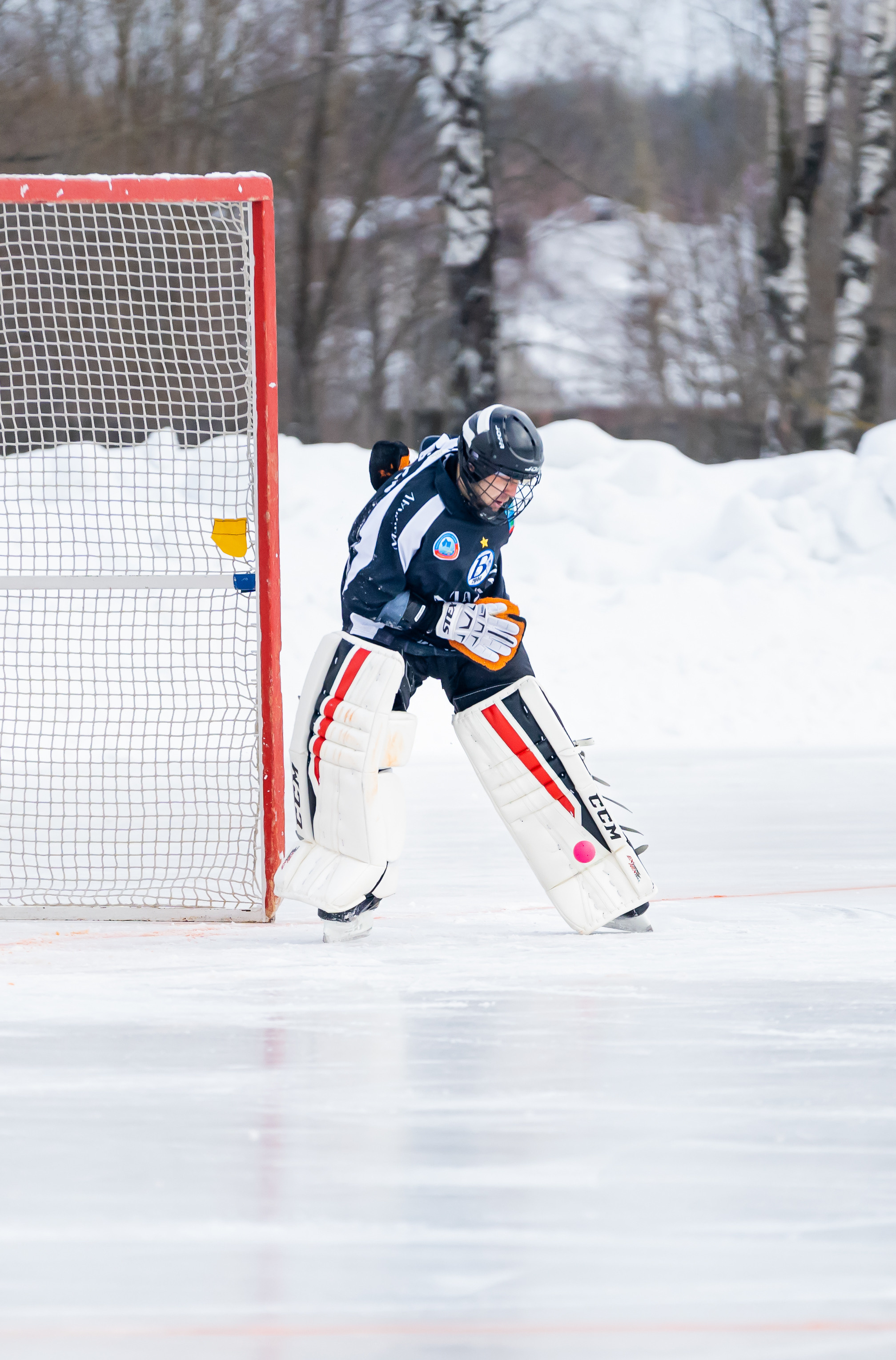 Русский хоккей (bandy). Репортажи, уличные и студийные съёмки в Москве