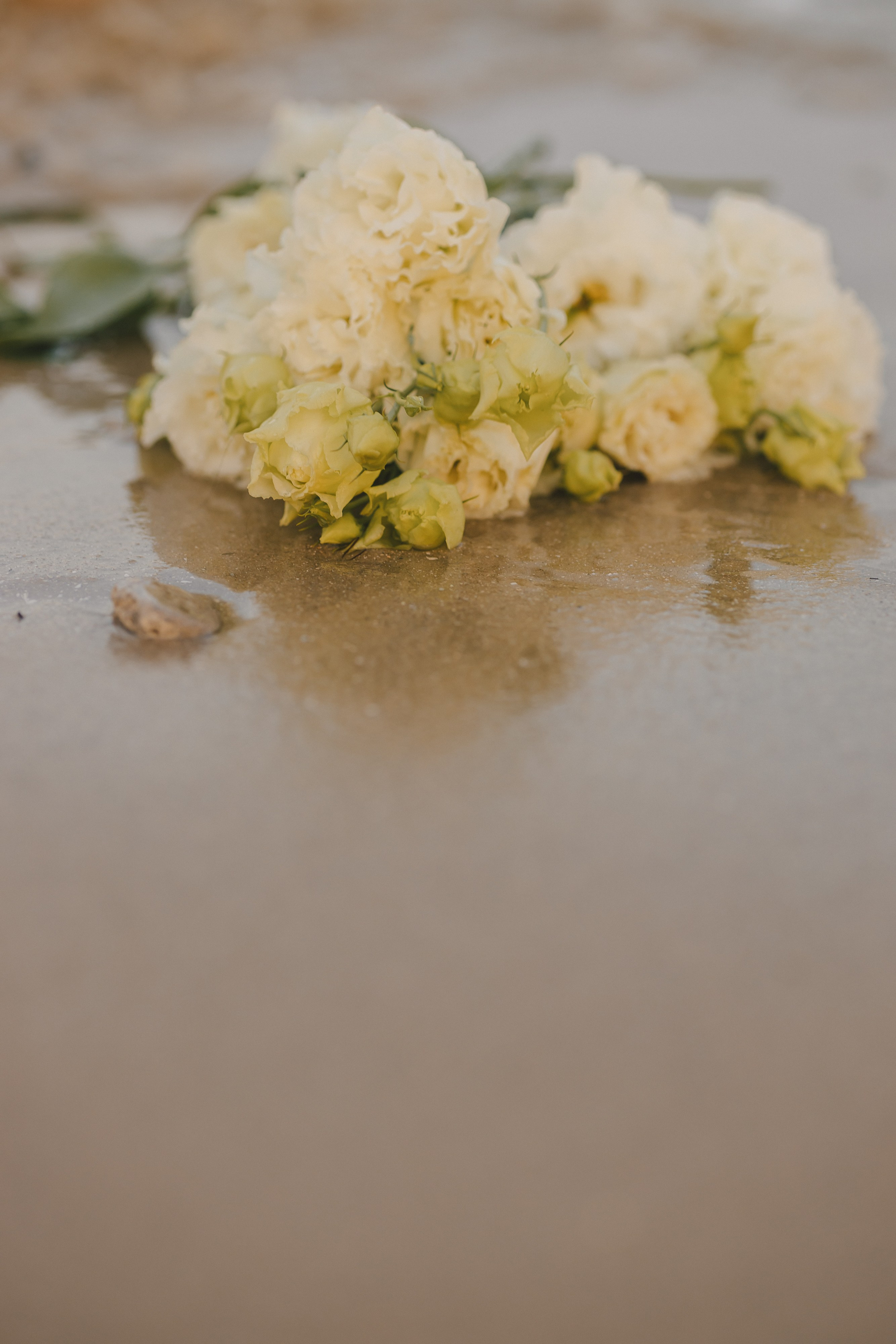 Даша. Фотограф Таганрог Любимая Надя