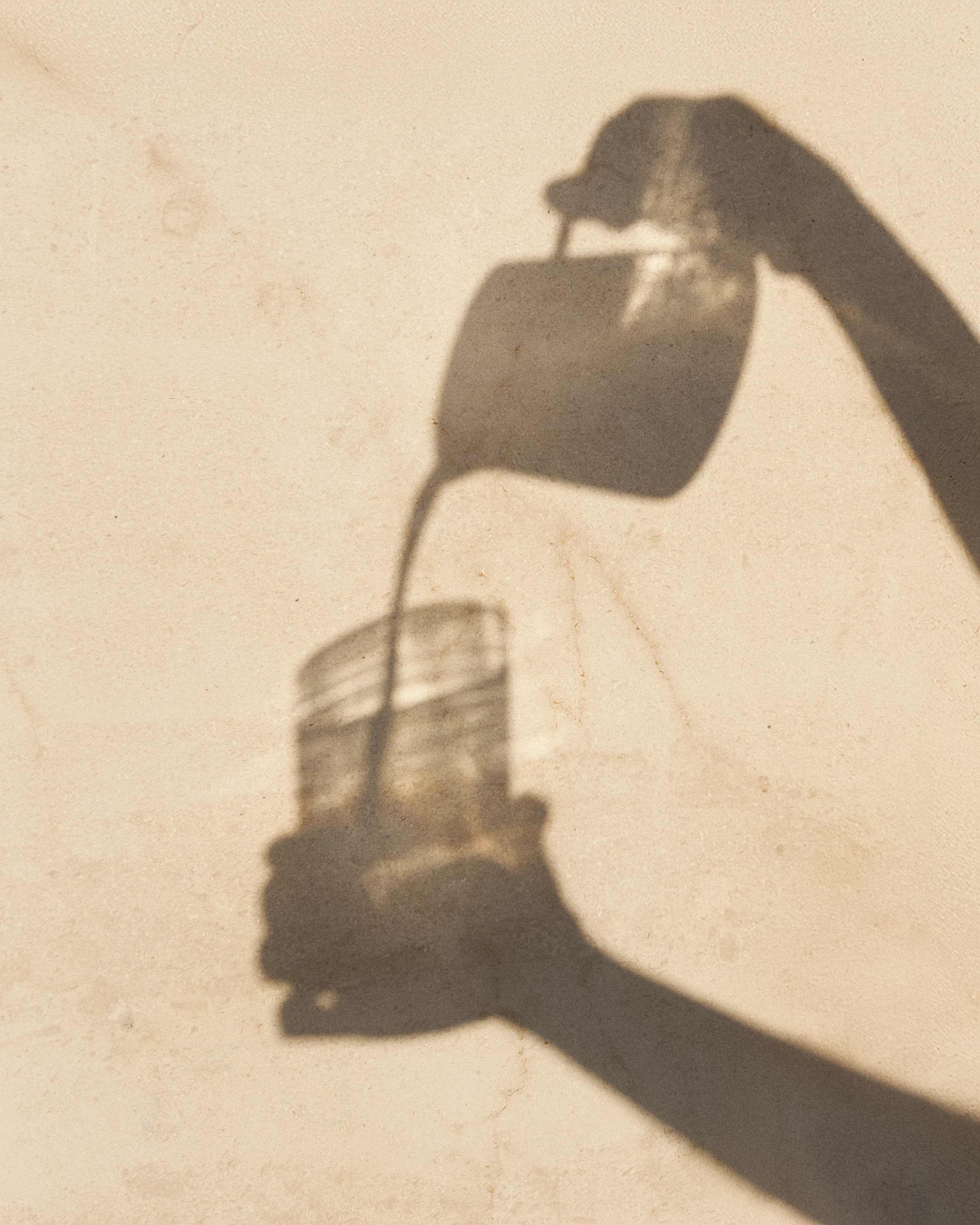 Content for ABC COFFEE ROSTERS. Nadezhda Diskant is a Moscow and Saint Petersburg based photographer