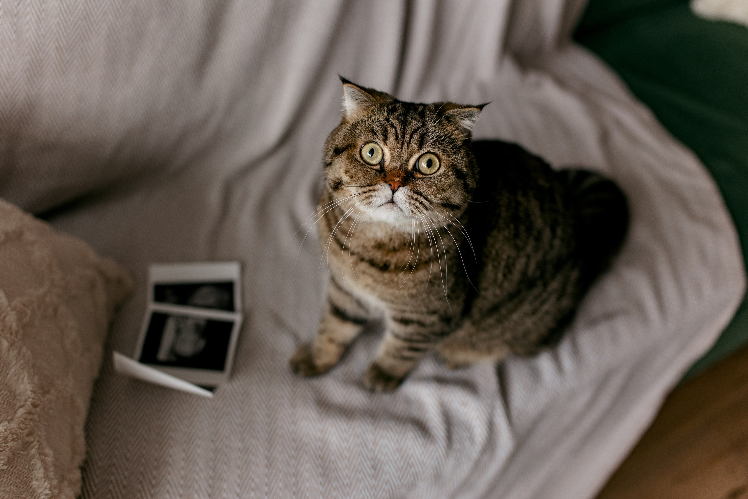 Никита и Кристина. Свадебный и семейный фотограф в Туле и области Маша Костина