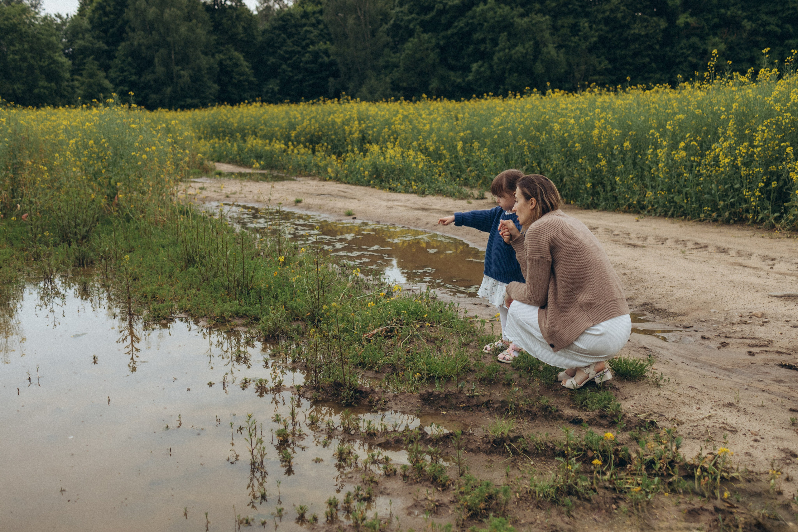 После дождя. Фотограф Елена Рябцева