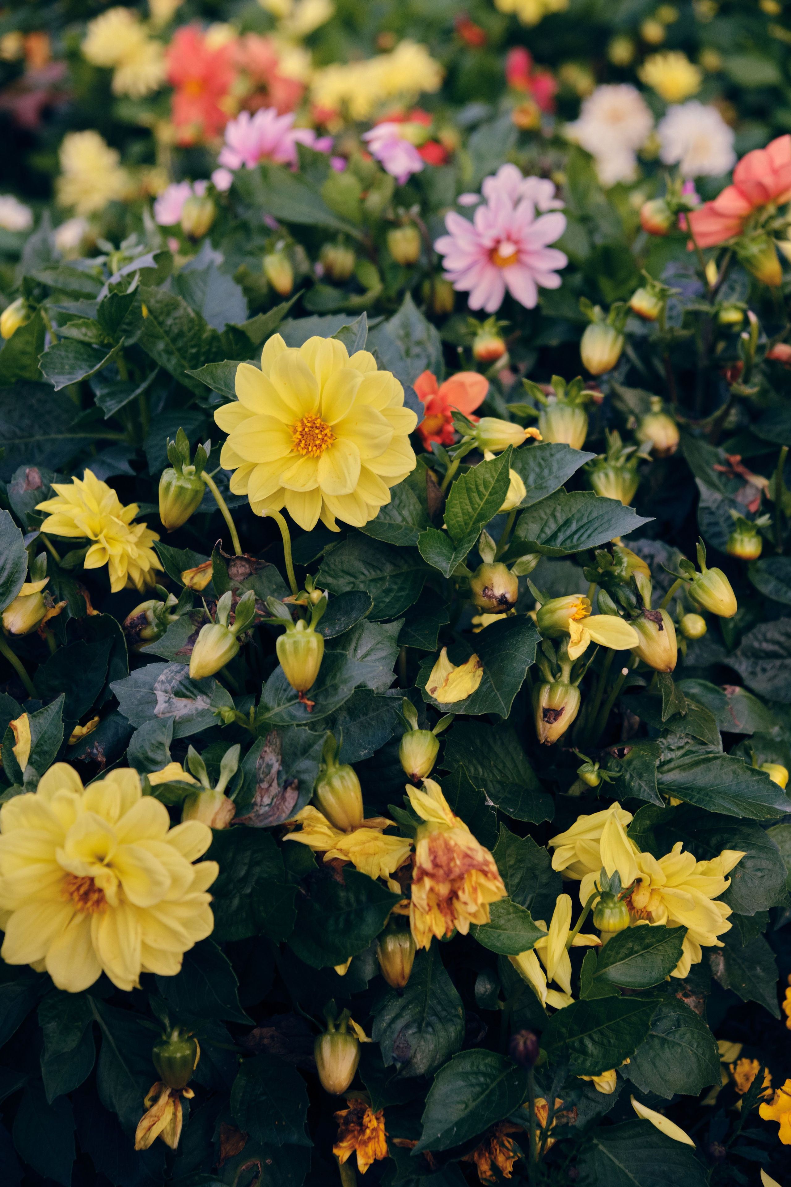 Замечательная повседневность. Контент-фотограф и видеограф в Перми