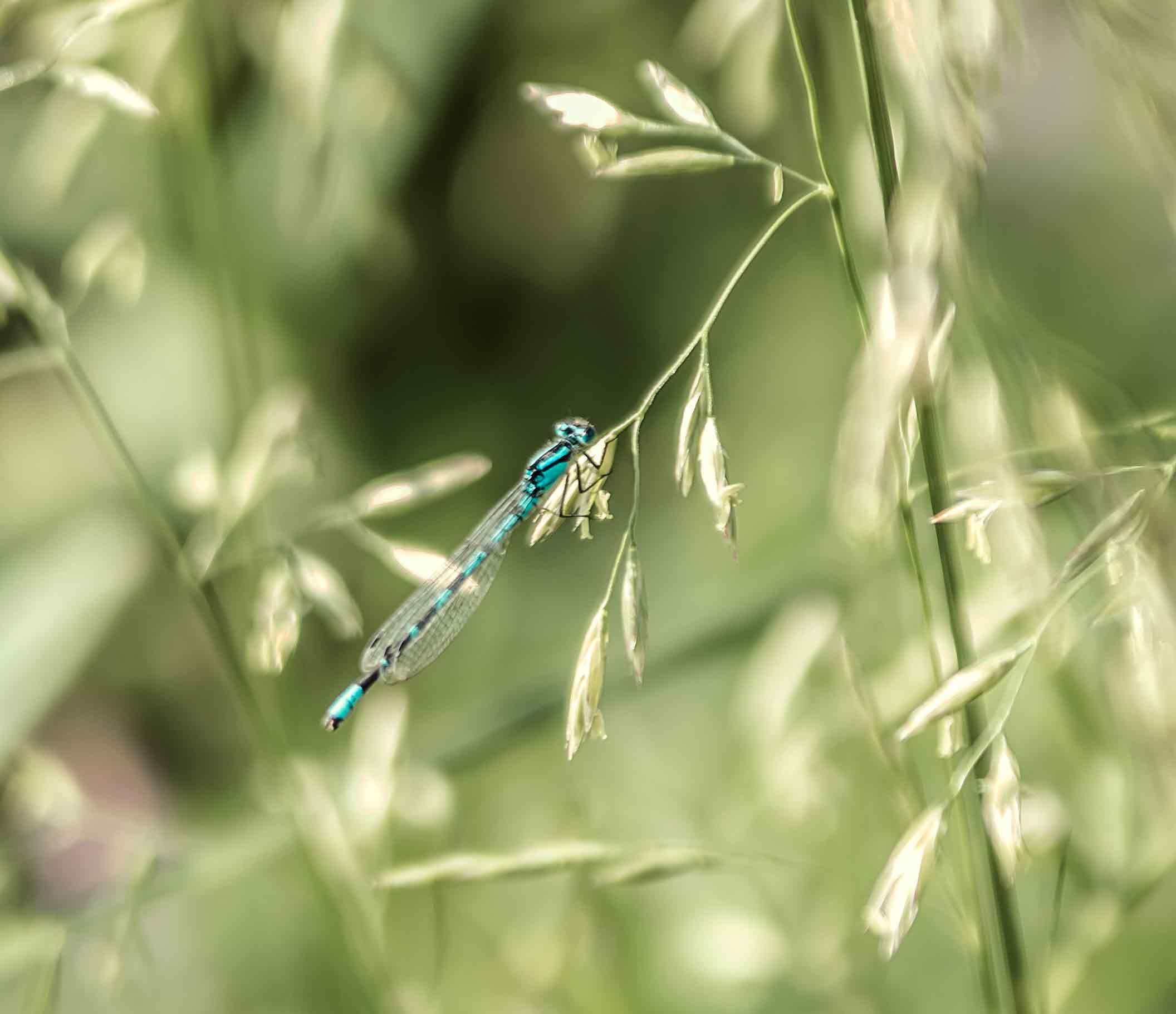 В русском стиле. Семейный, свадебный и детский фотограф в Новосибирске Ольга Хидченко