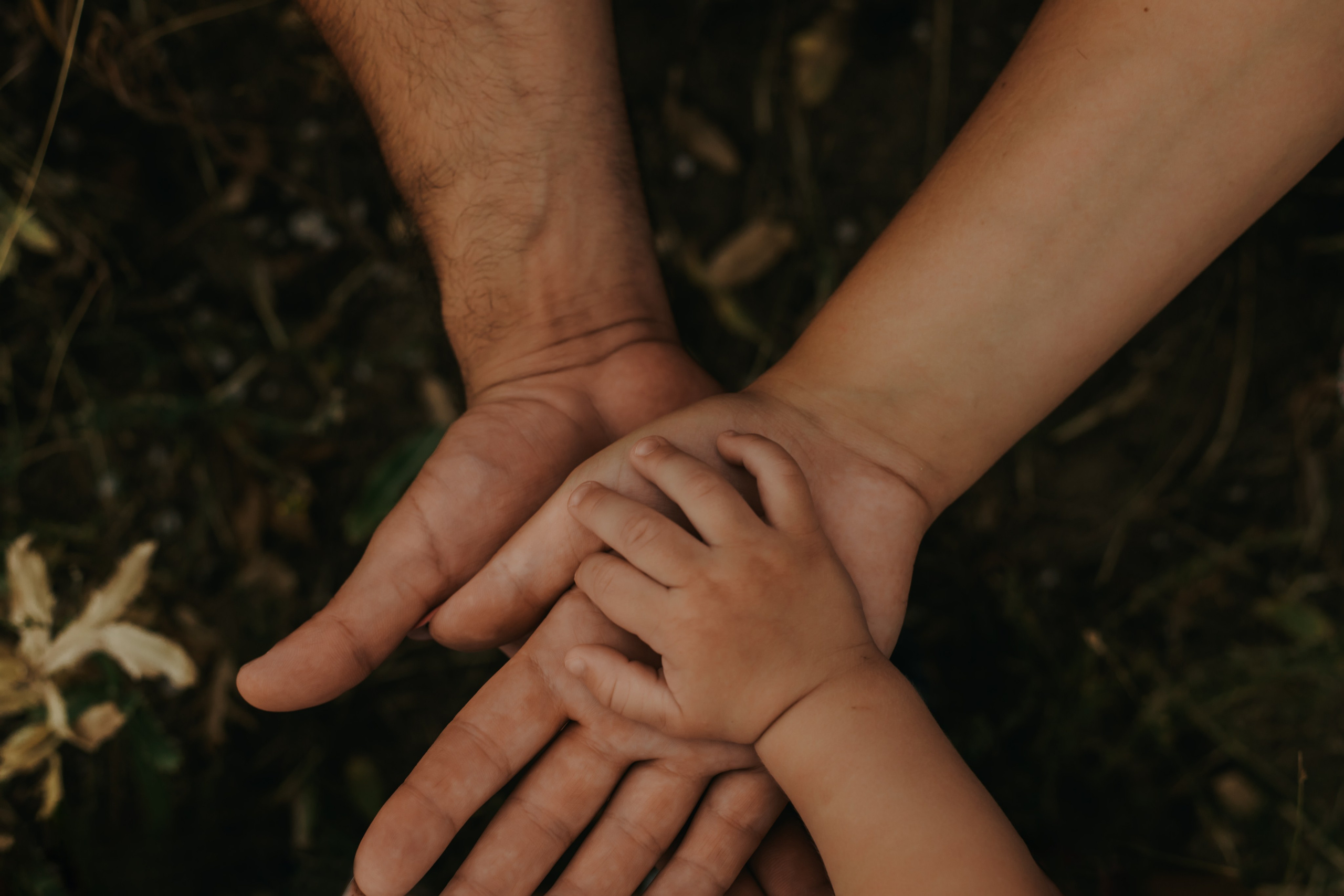 Семейная фотосессия на природе. Свадебный и семейный фотограф в Краснодарском крае Мария Данилкина