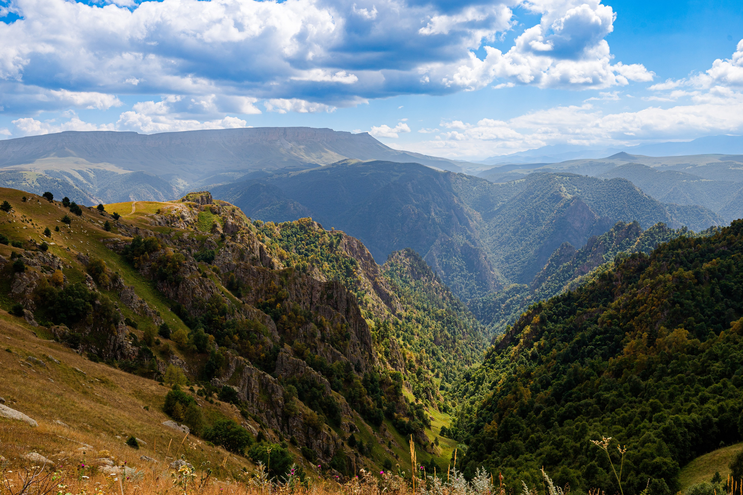 Творчество. Профессиональный фотограф Амир Закиров