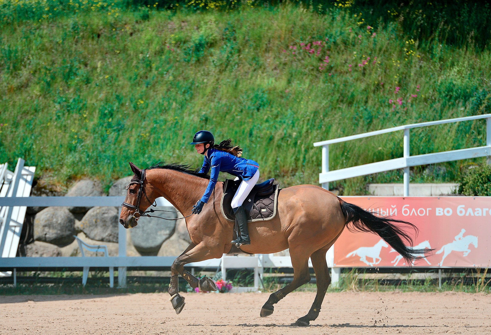Конкур. Конный фотограф Alesya Safe