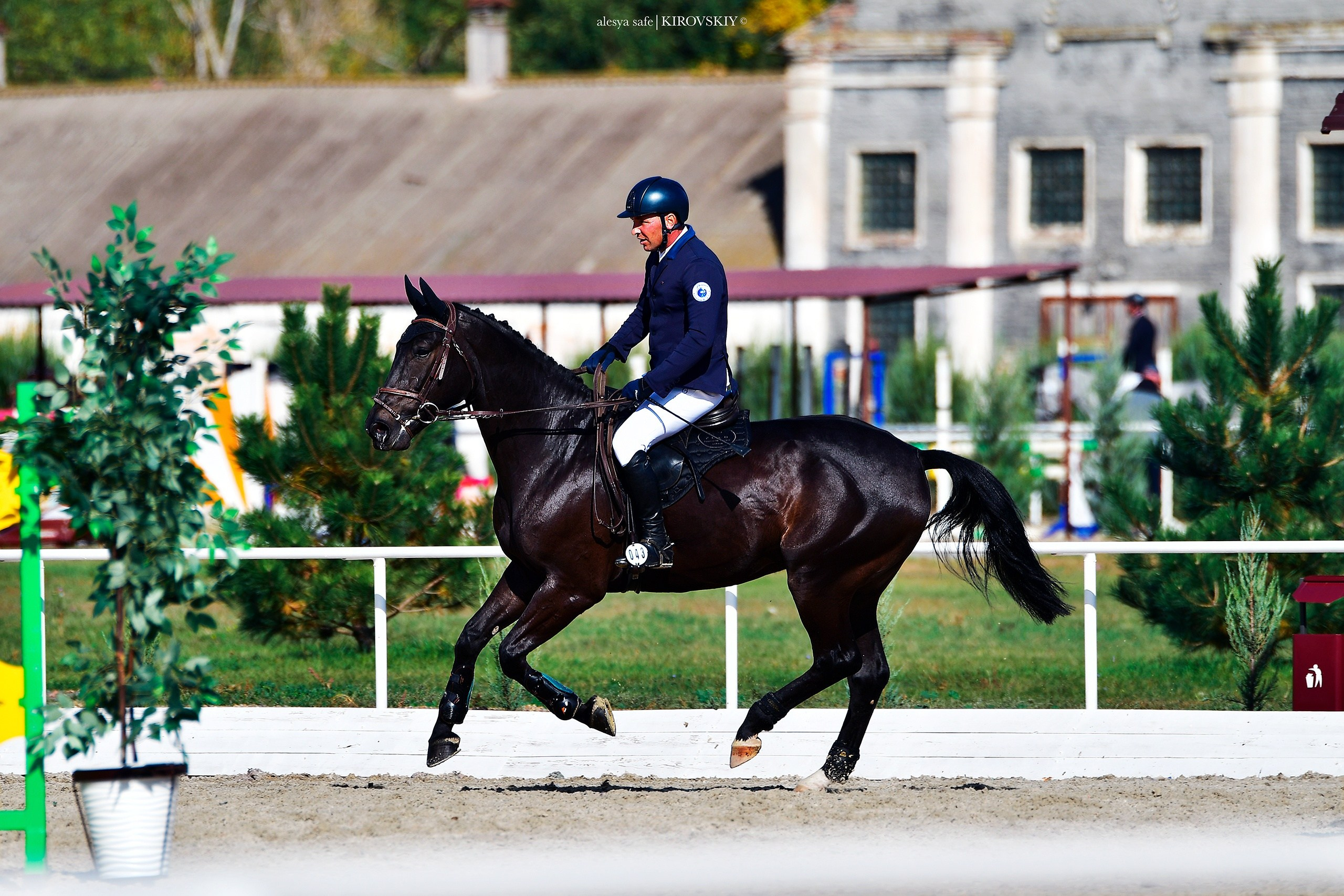 Кировский конный завод. Конный фотограф Alesya Safe
