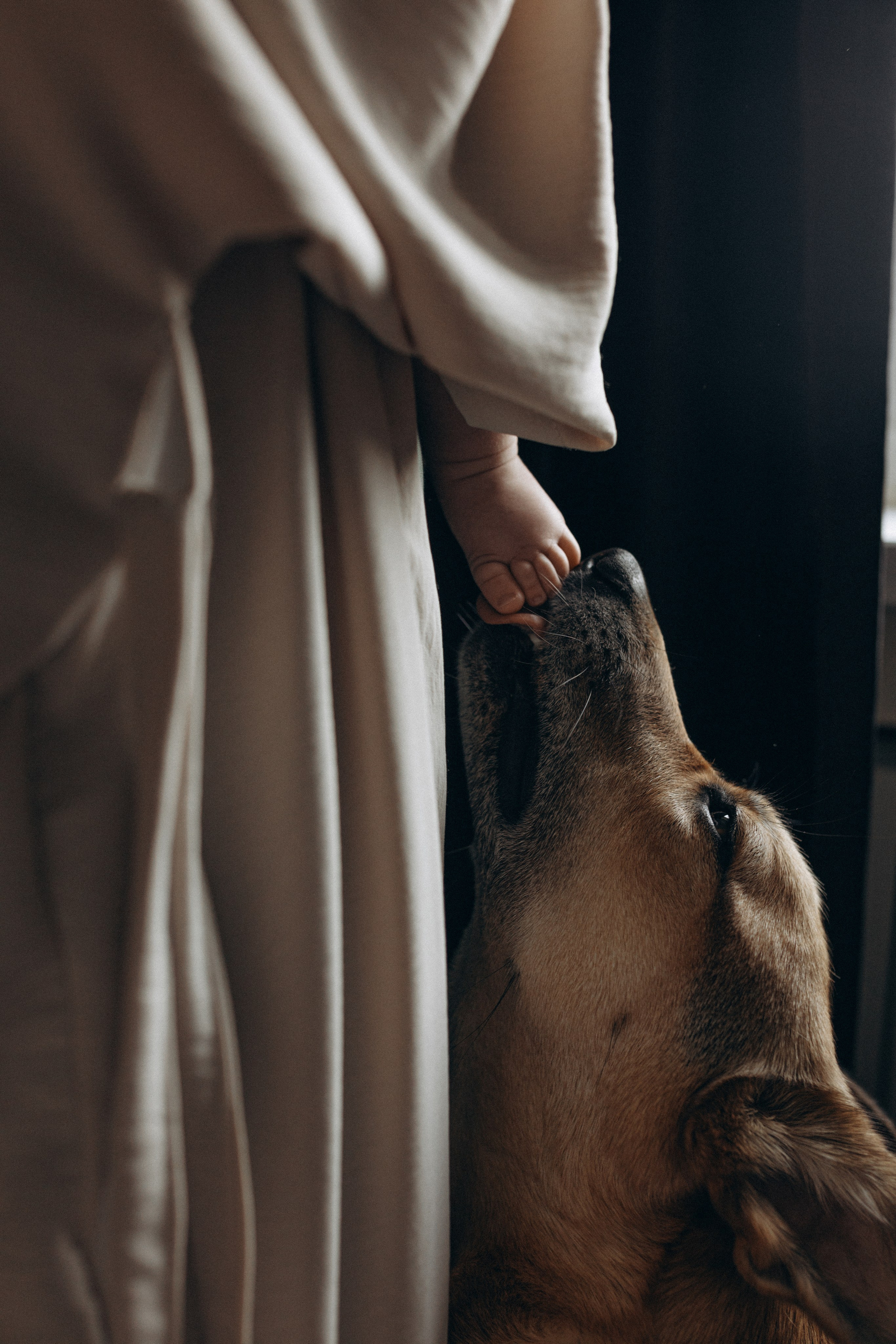 Семейные. Маша Афонина. Семейный фотограф в Москве