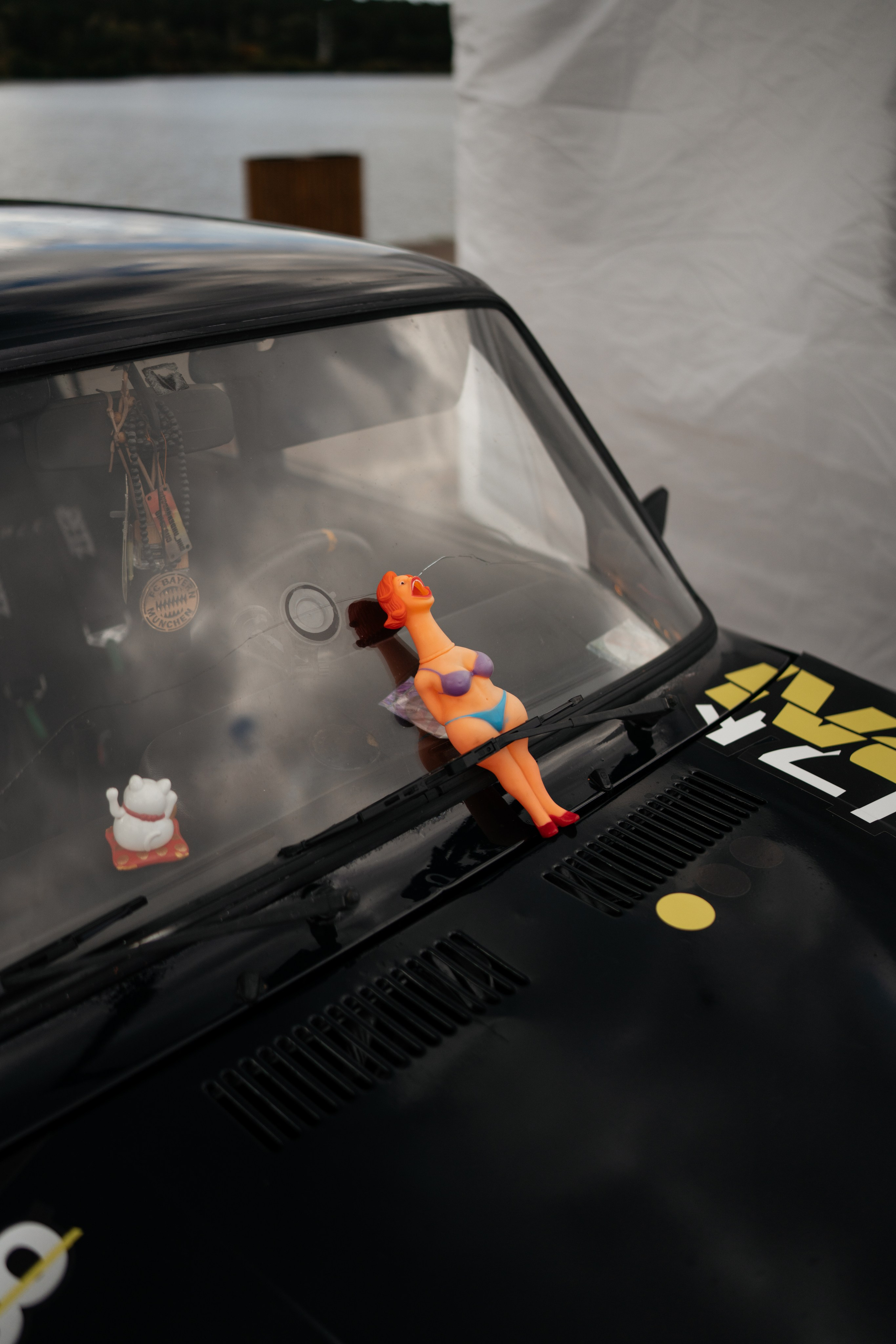 Auto Vibe Fest. Vlad Trykov