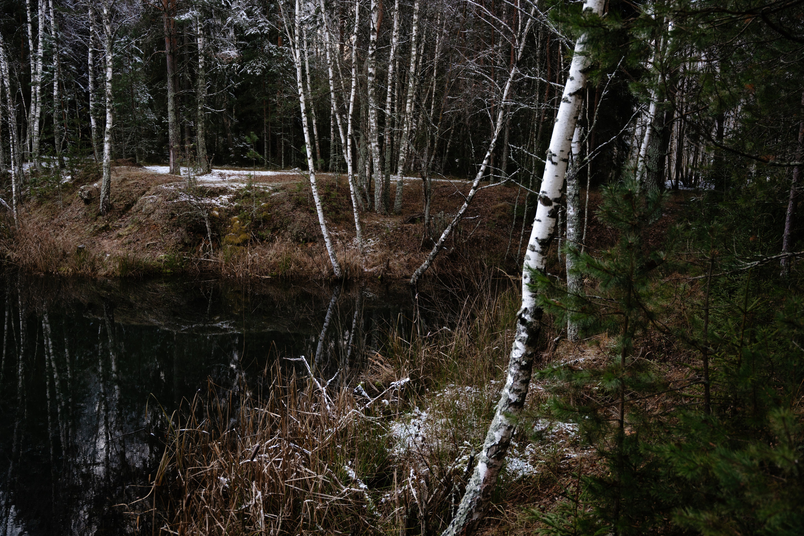 Суворовские карьеры. Vlad Trykov