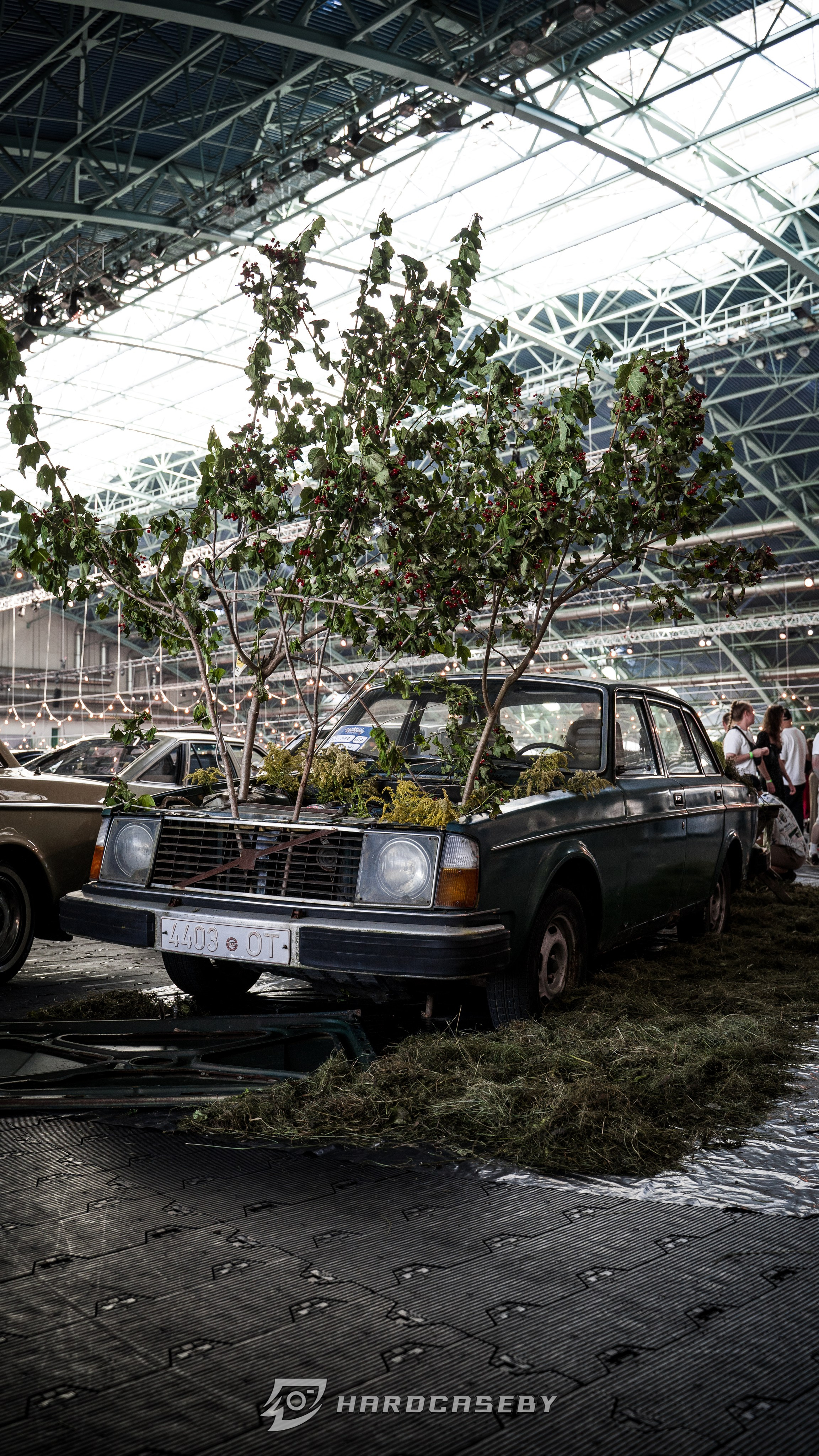 VintageDay 2025. Фотограф Герман Колодный