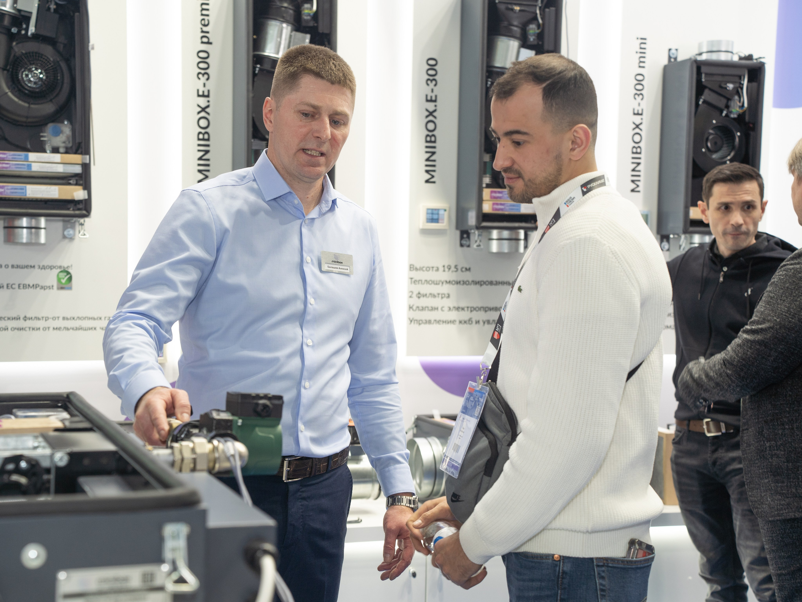 Крокус Вентиляция. Фотограф Зинаида Евдокимова