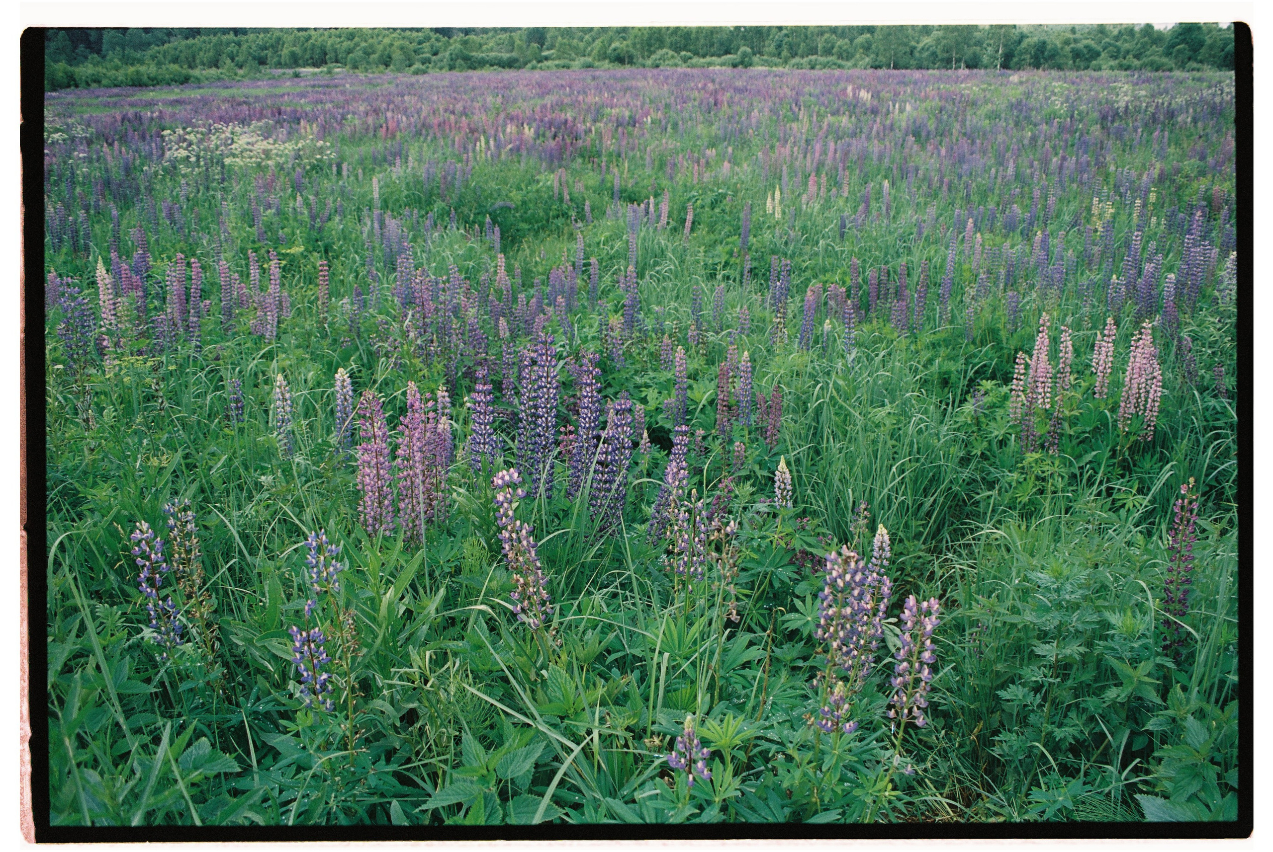 Стрит. Фотограф Соня с Земли